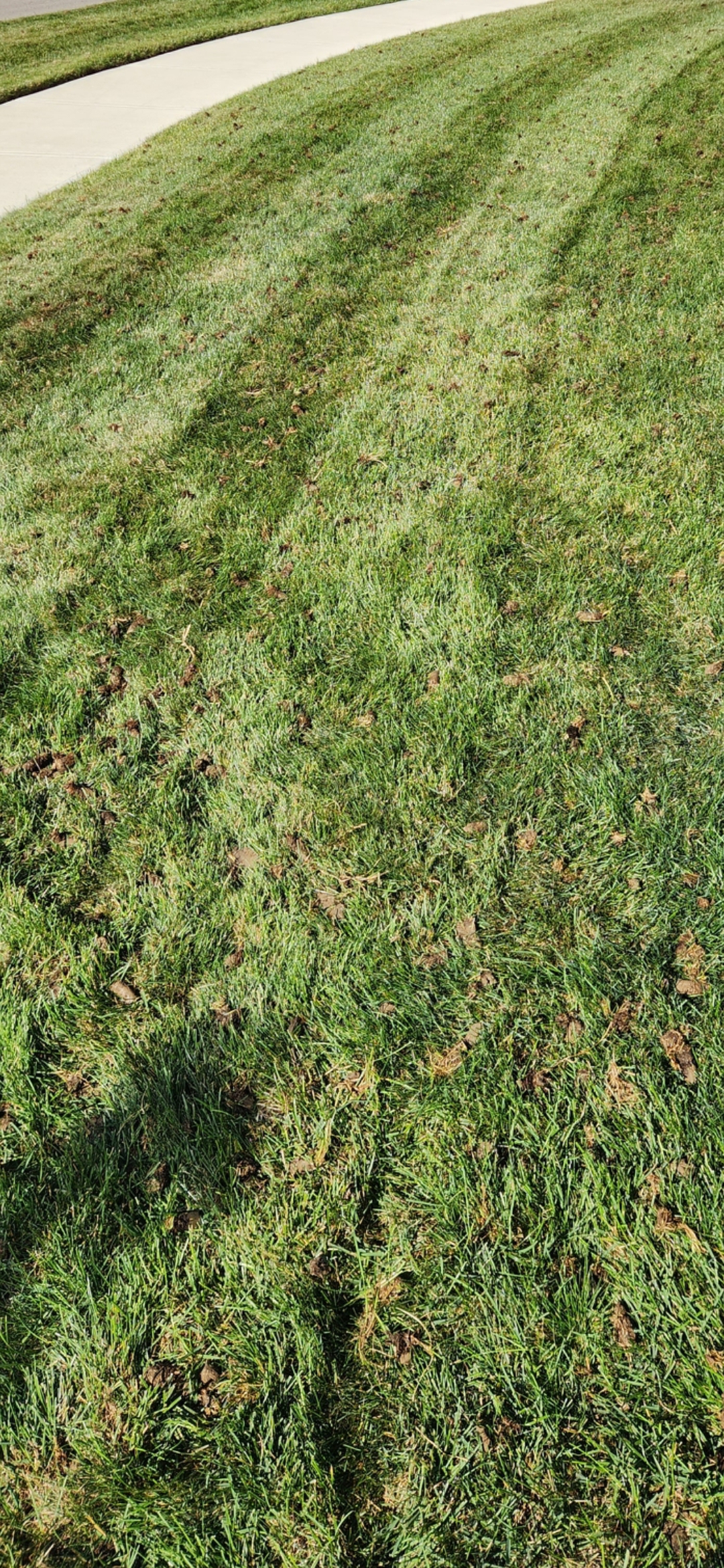 Potts Lawn Care LLC's image