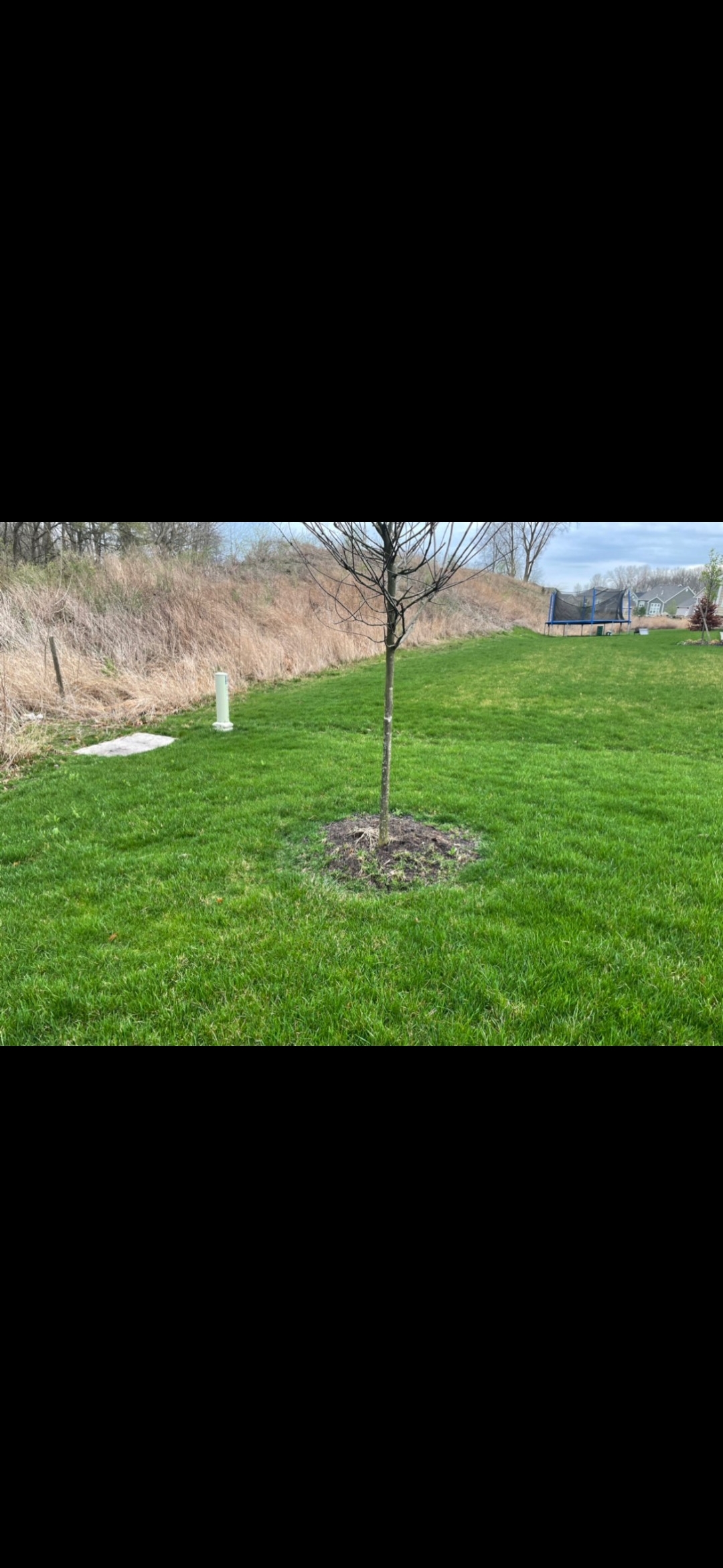 Potts Lawn Care LLC's image