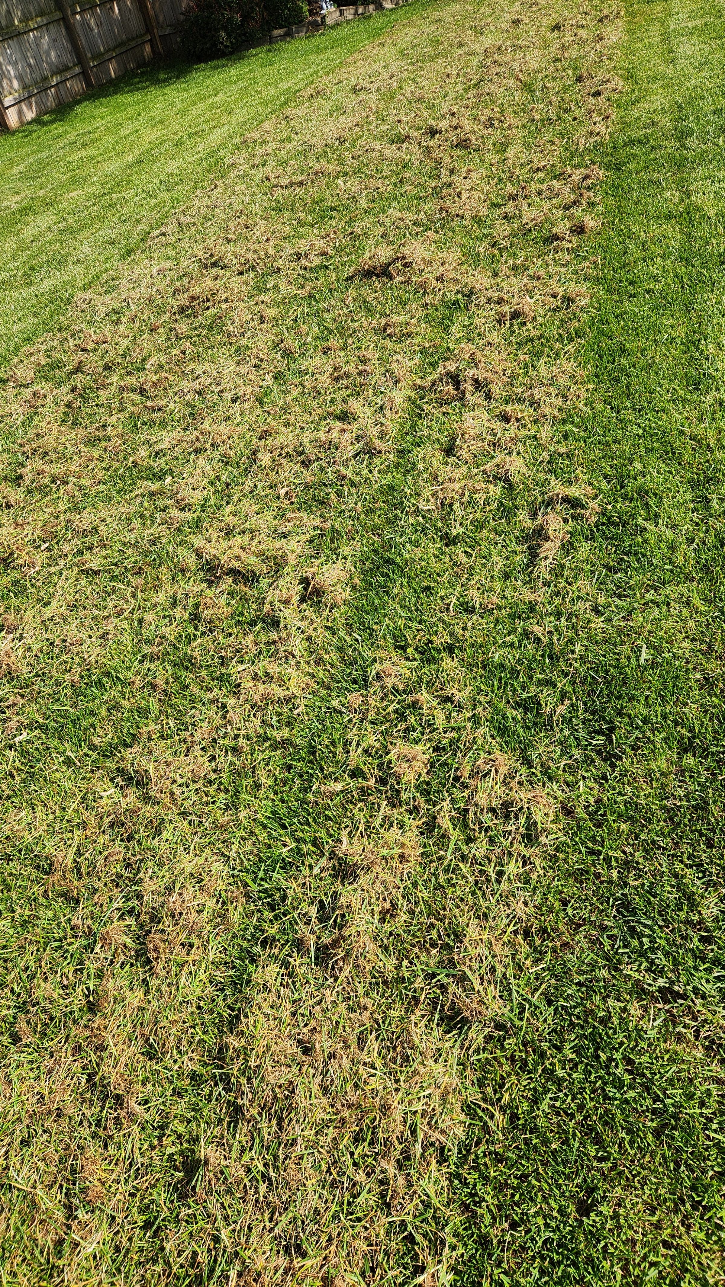 Potts Lawn Care LLC's image