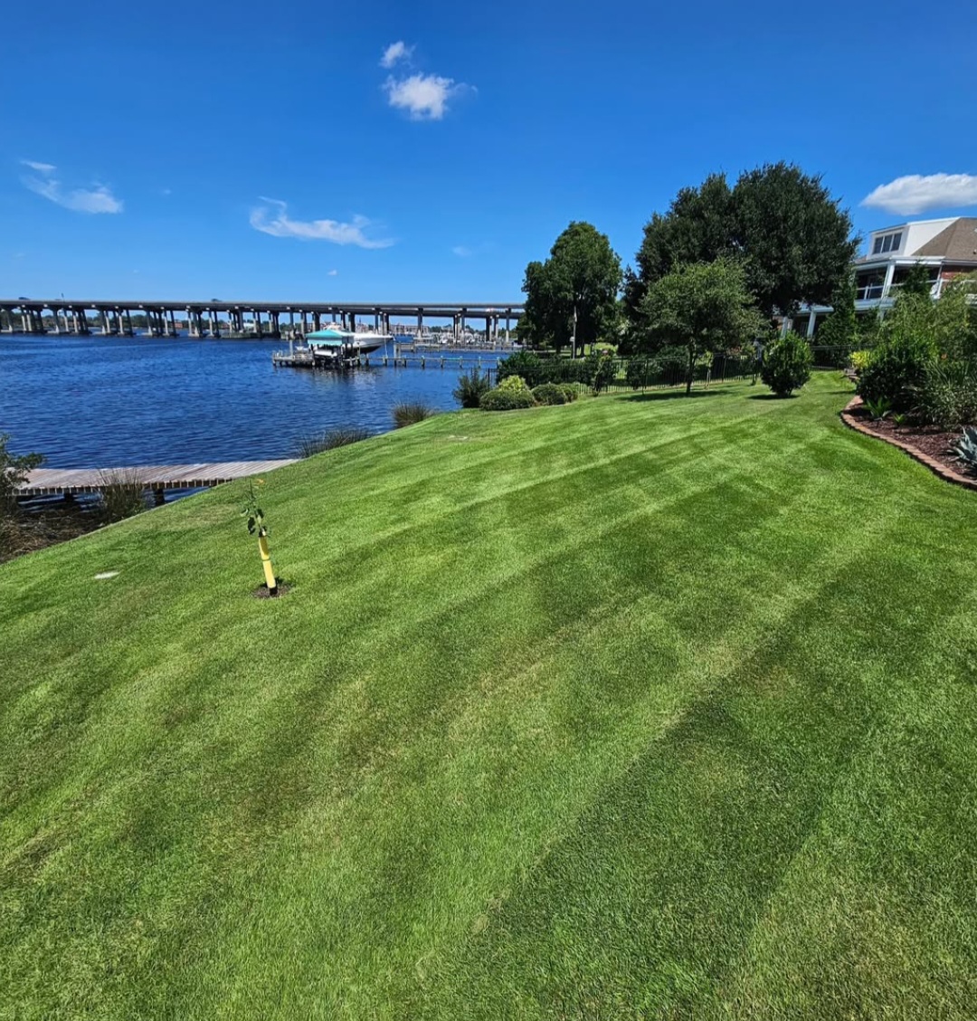 Premier Lawns Of New Bern's image