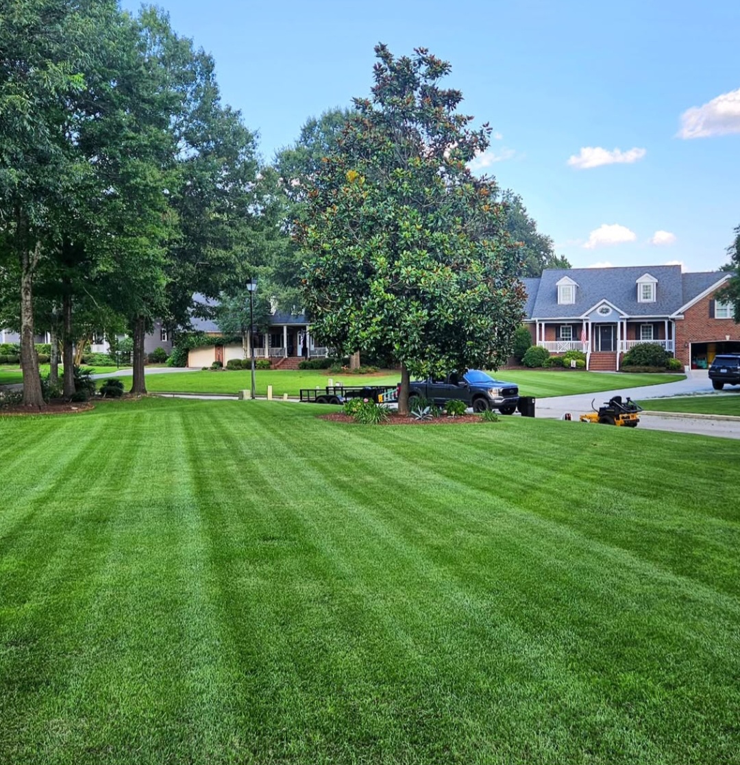 Premier Lawns Of New Bern's image