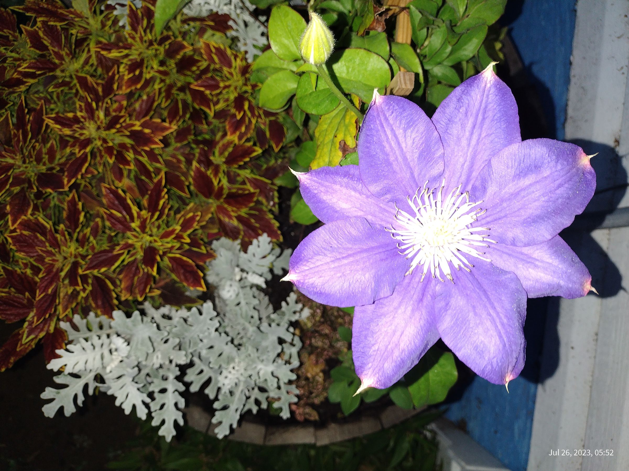 Southern Minnesota Horticultural Services LLC's image