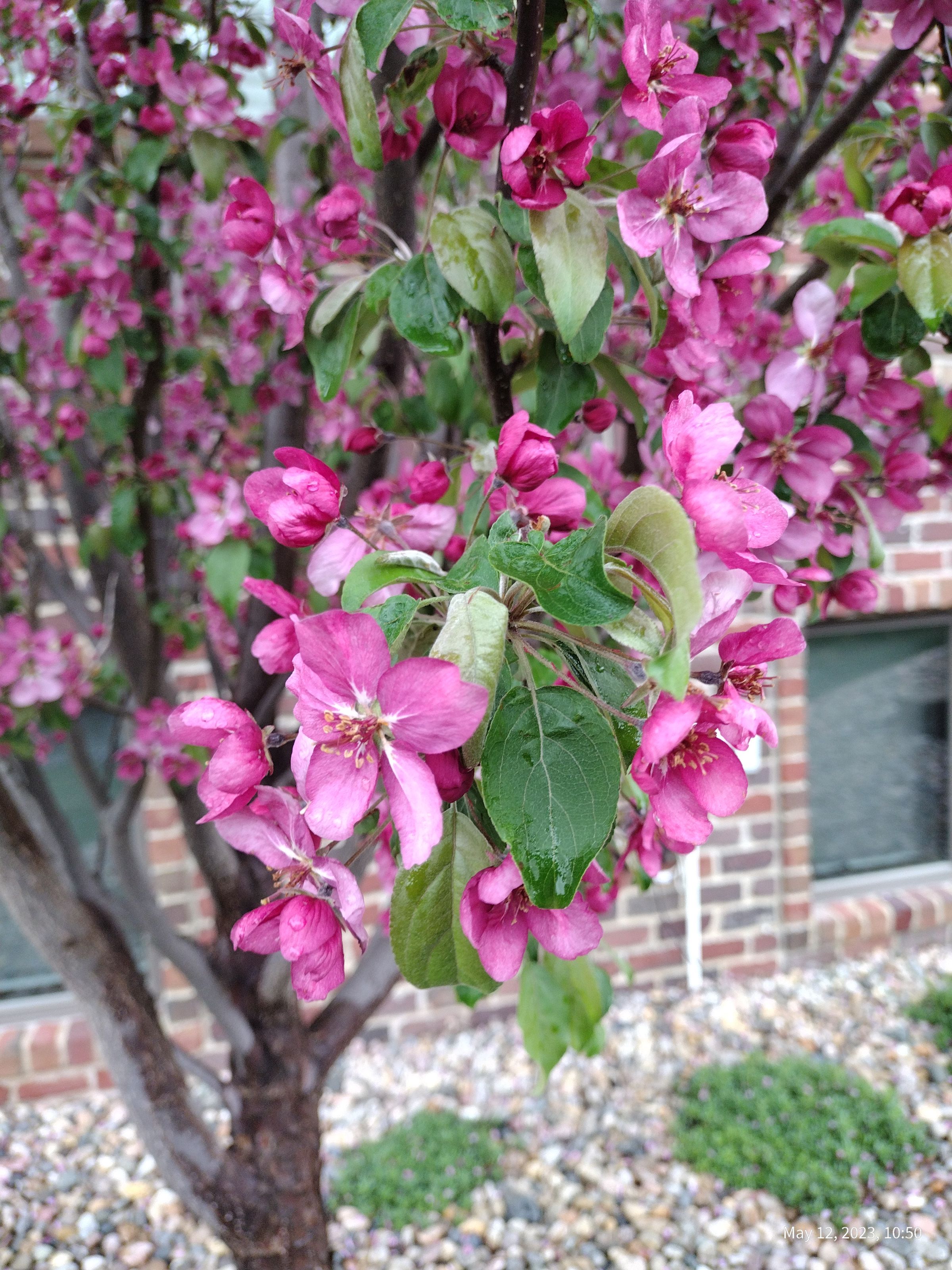 Southern Minnesota Horticultural Services LLC's image