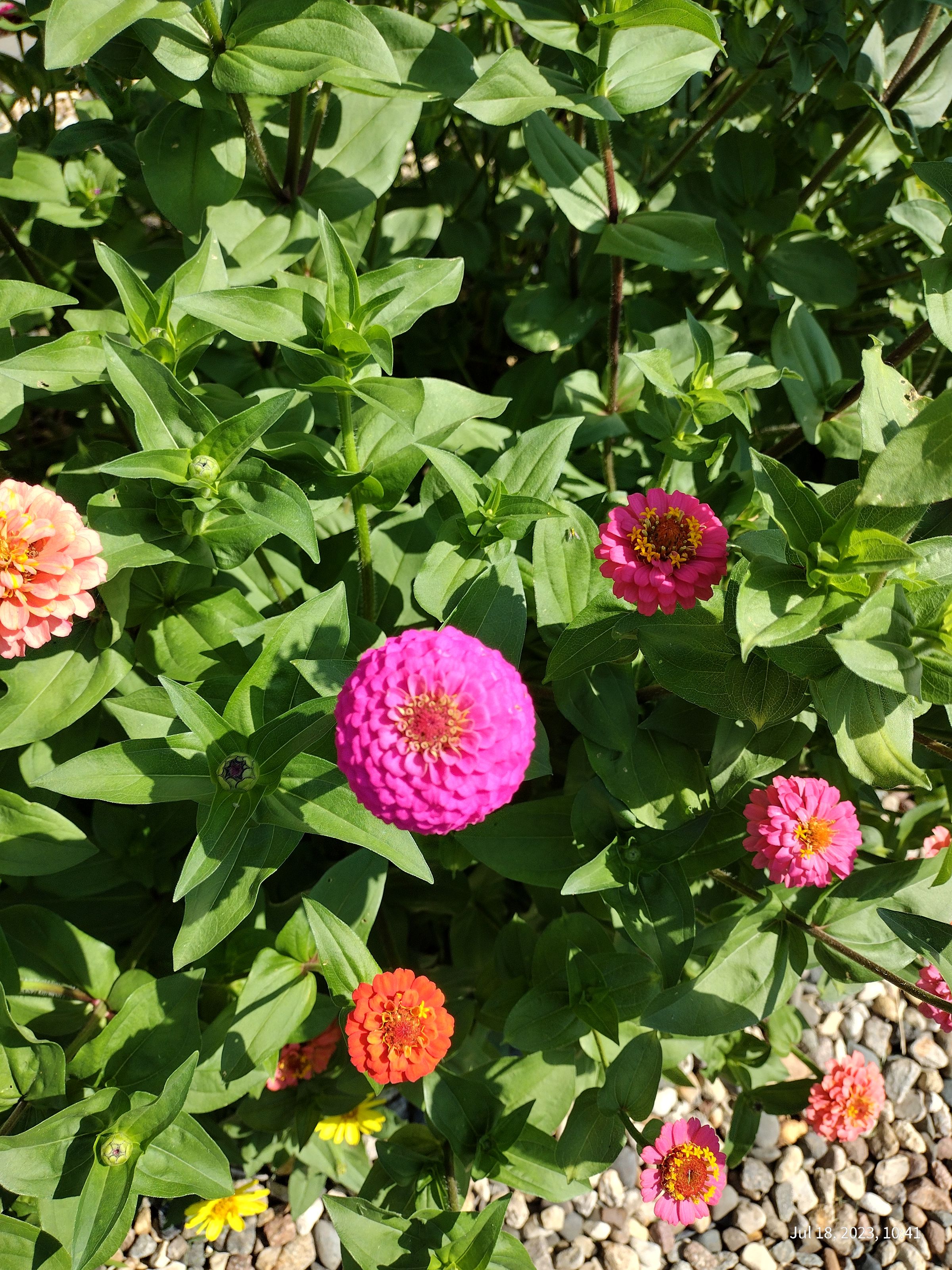 Southern Minnesota Horticultural Services LLC's image