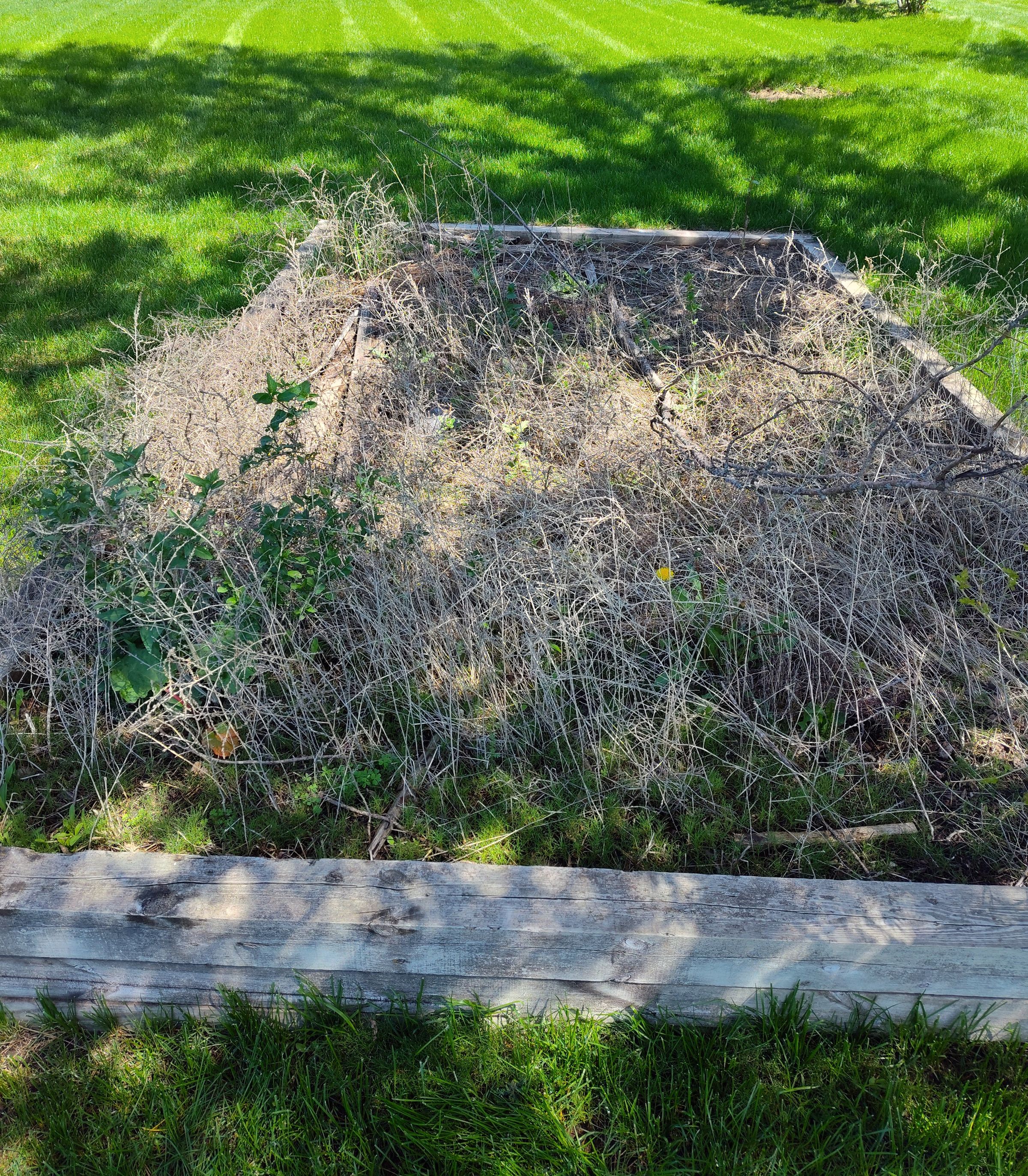 Southern Minnesota Horticultural Services LLC's image