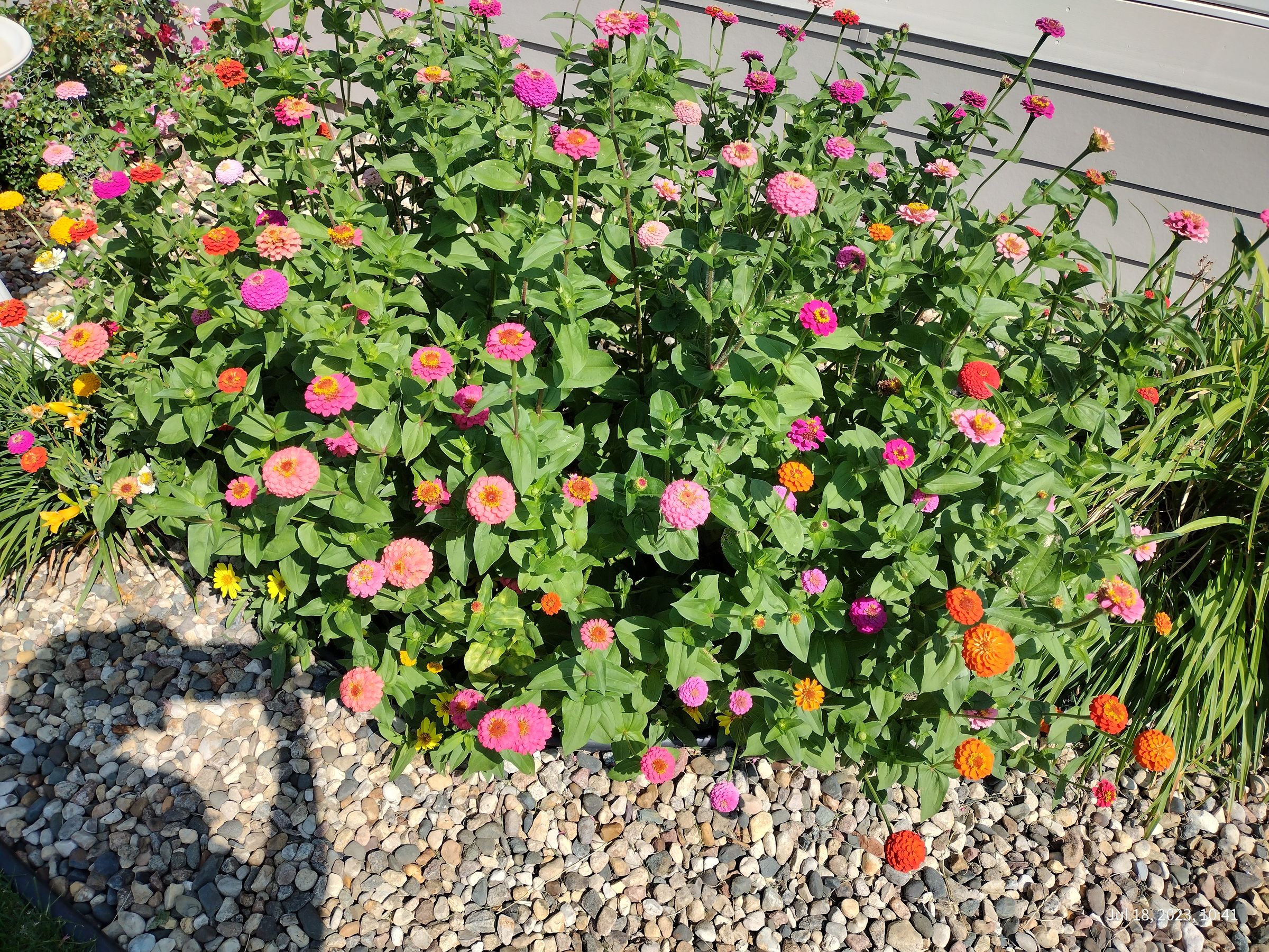 Southern Minnesota Horticultural Services LLC's image