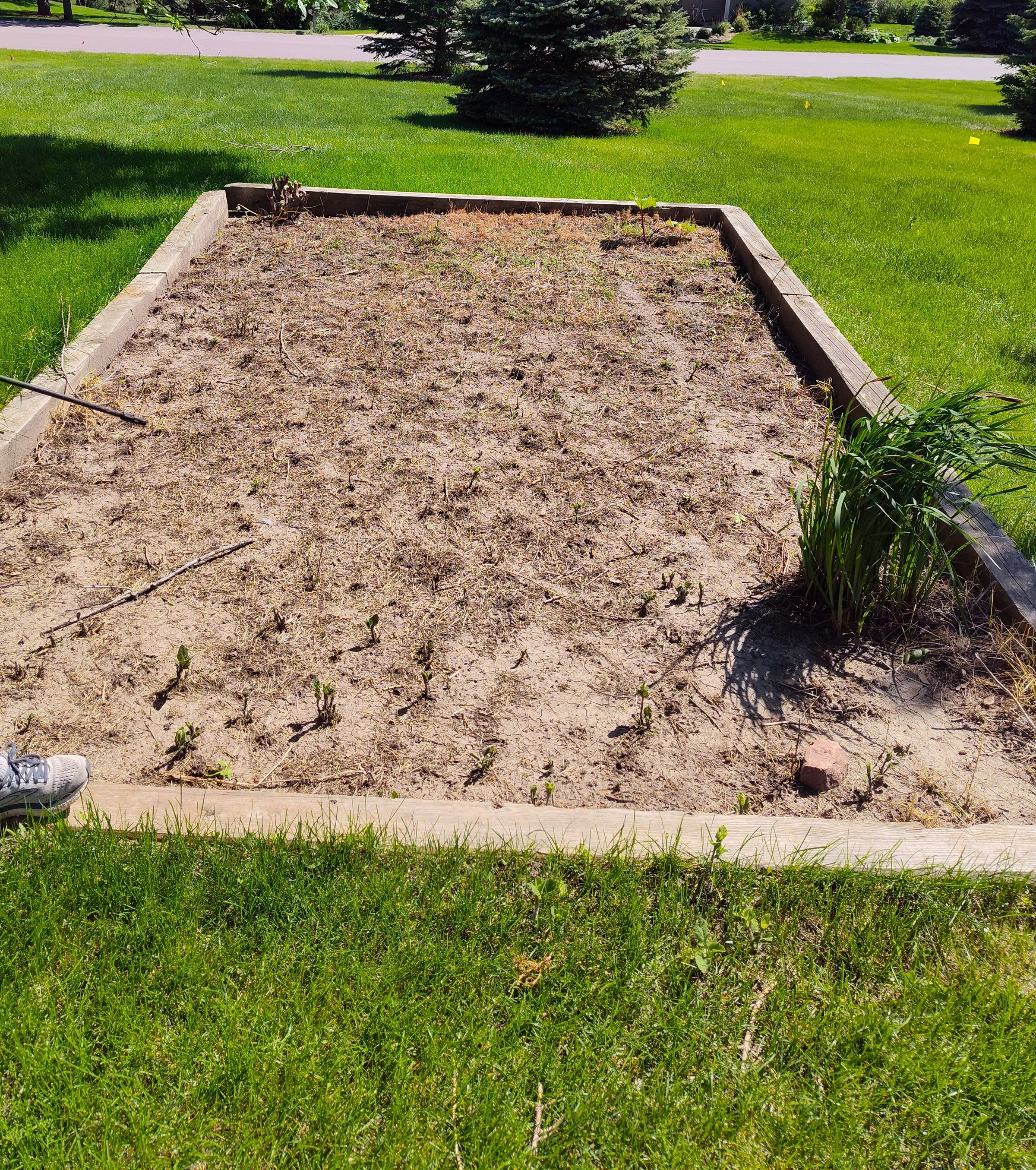 Southern Minnesota Horticultural Services LLC's image