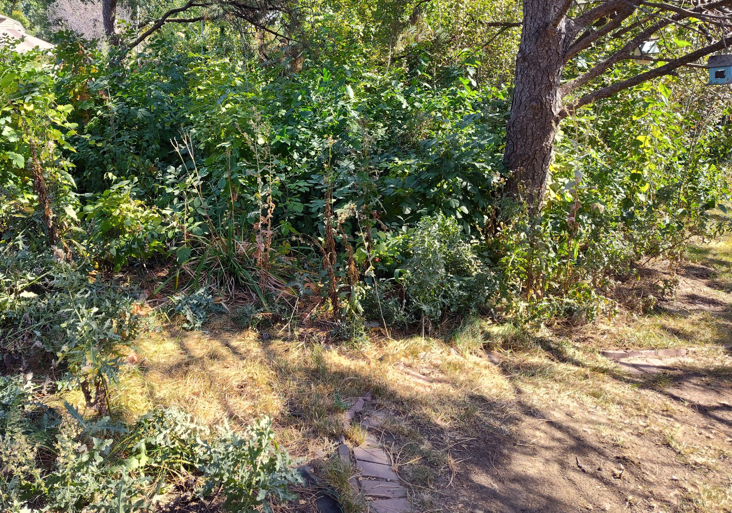 Southern Minnesota Horticultural Services LLC's image