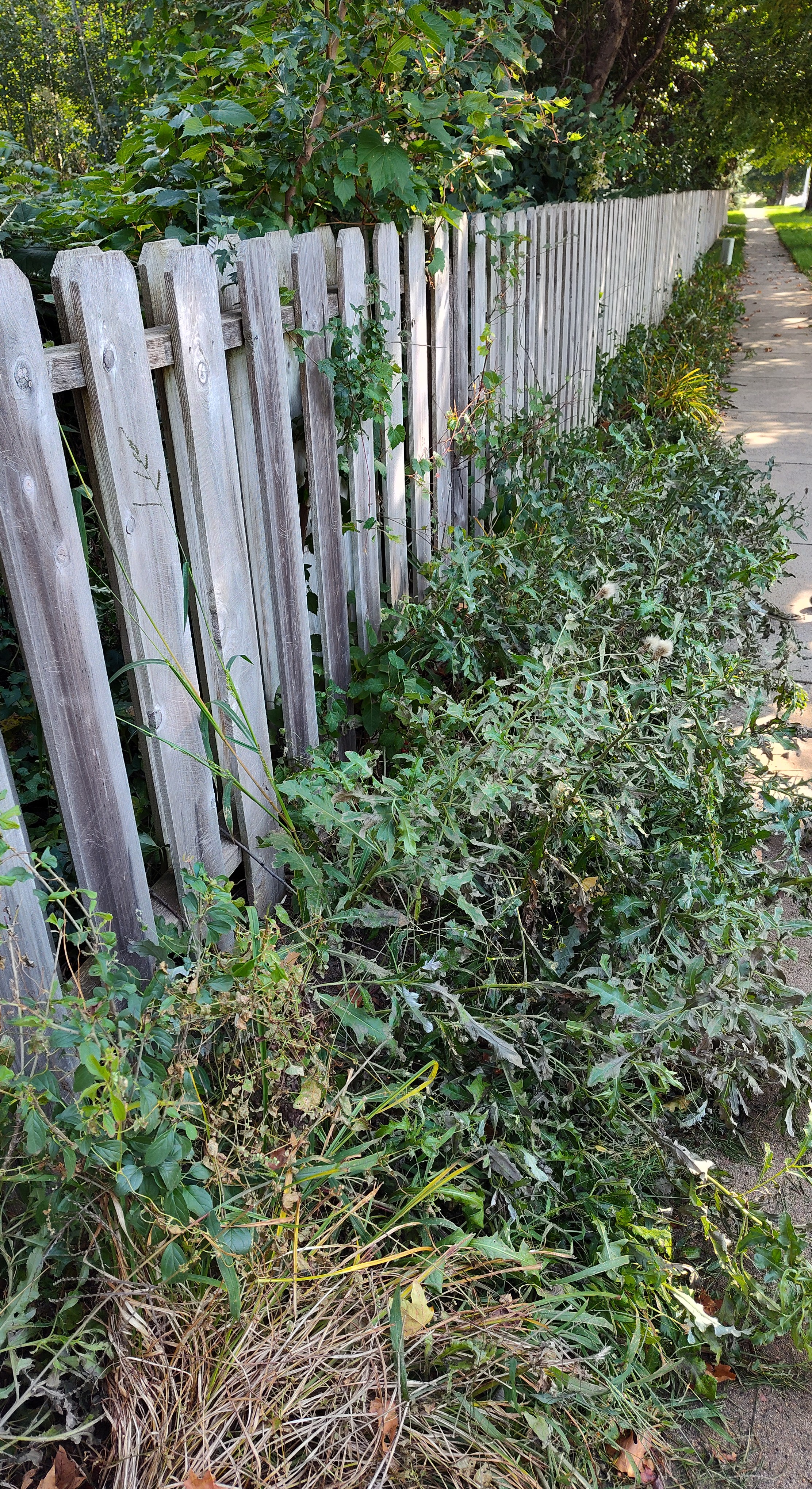 Southern Minnesota Horticultural Services LLC's image