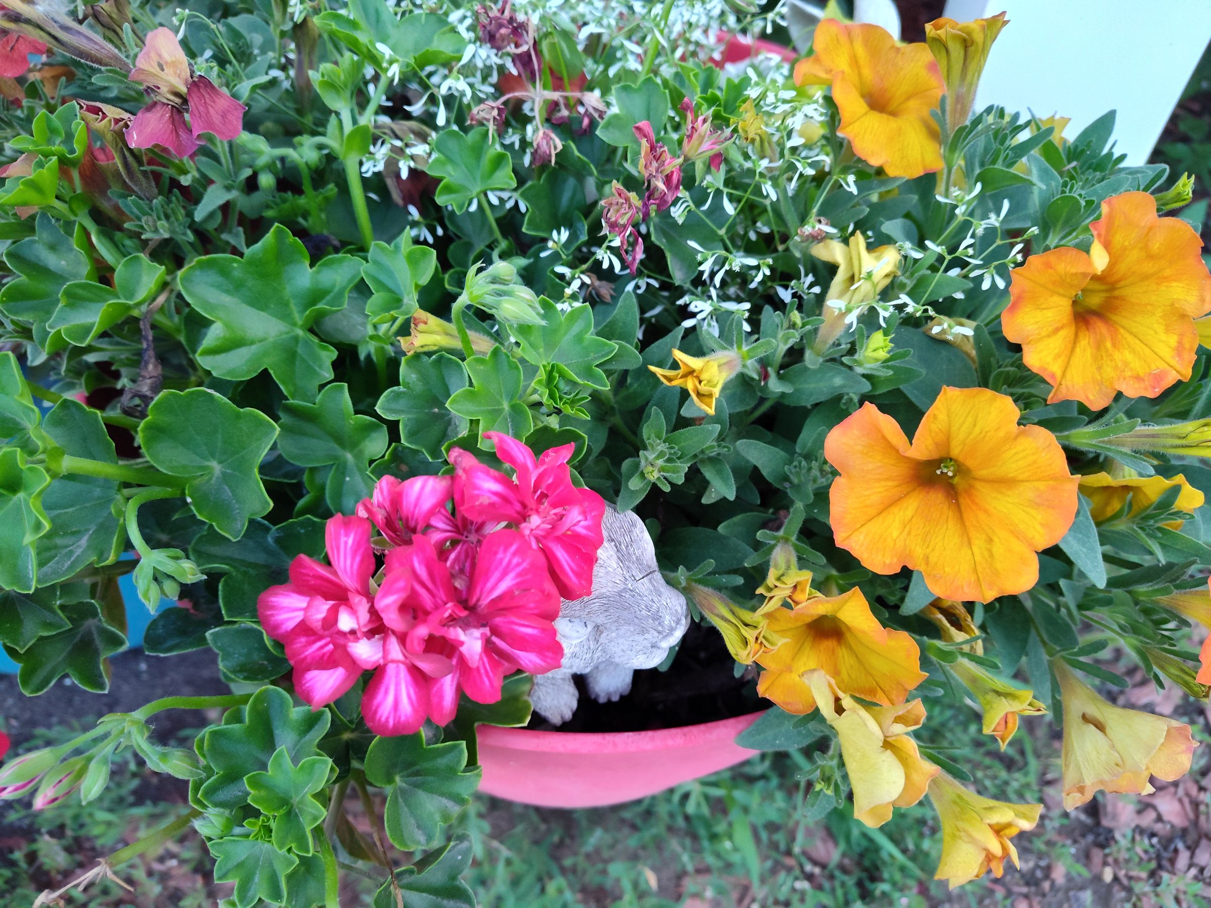 Southern Minnesota Horticultural Services LLC's image