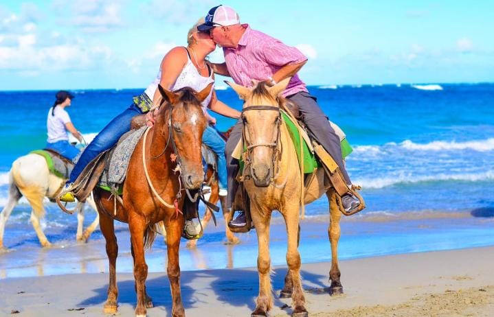 Paradise Luxury Tours's image