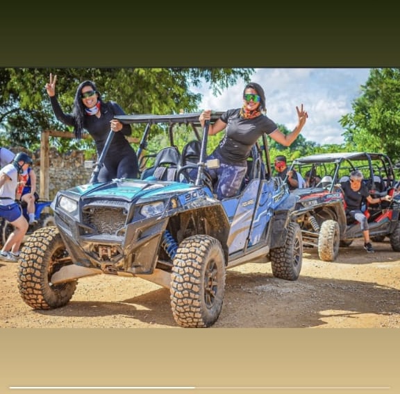 Paradise Luxury Tours's image