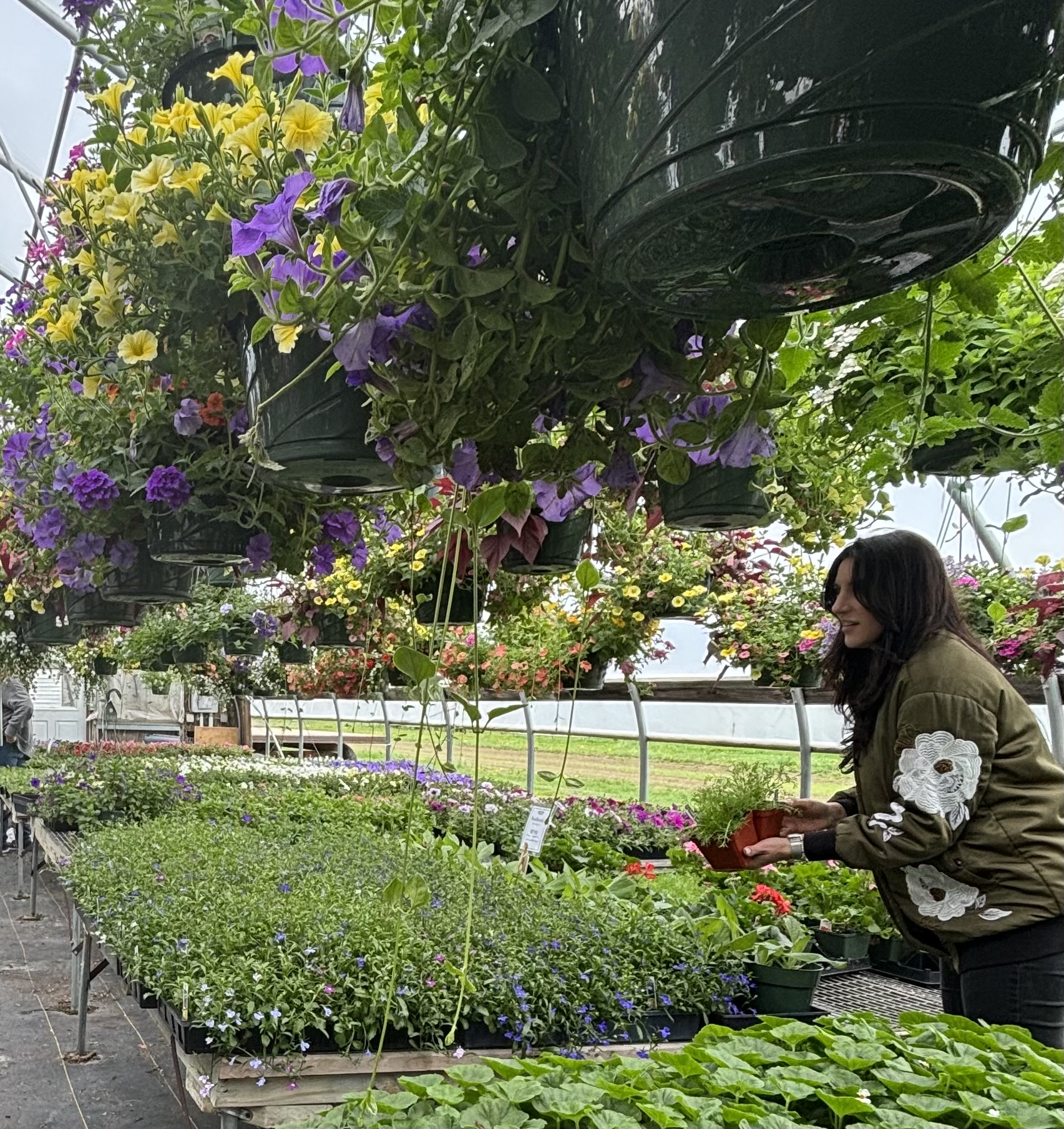The Flower Shack's image