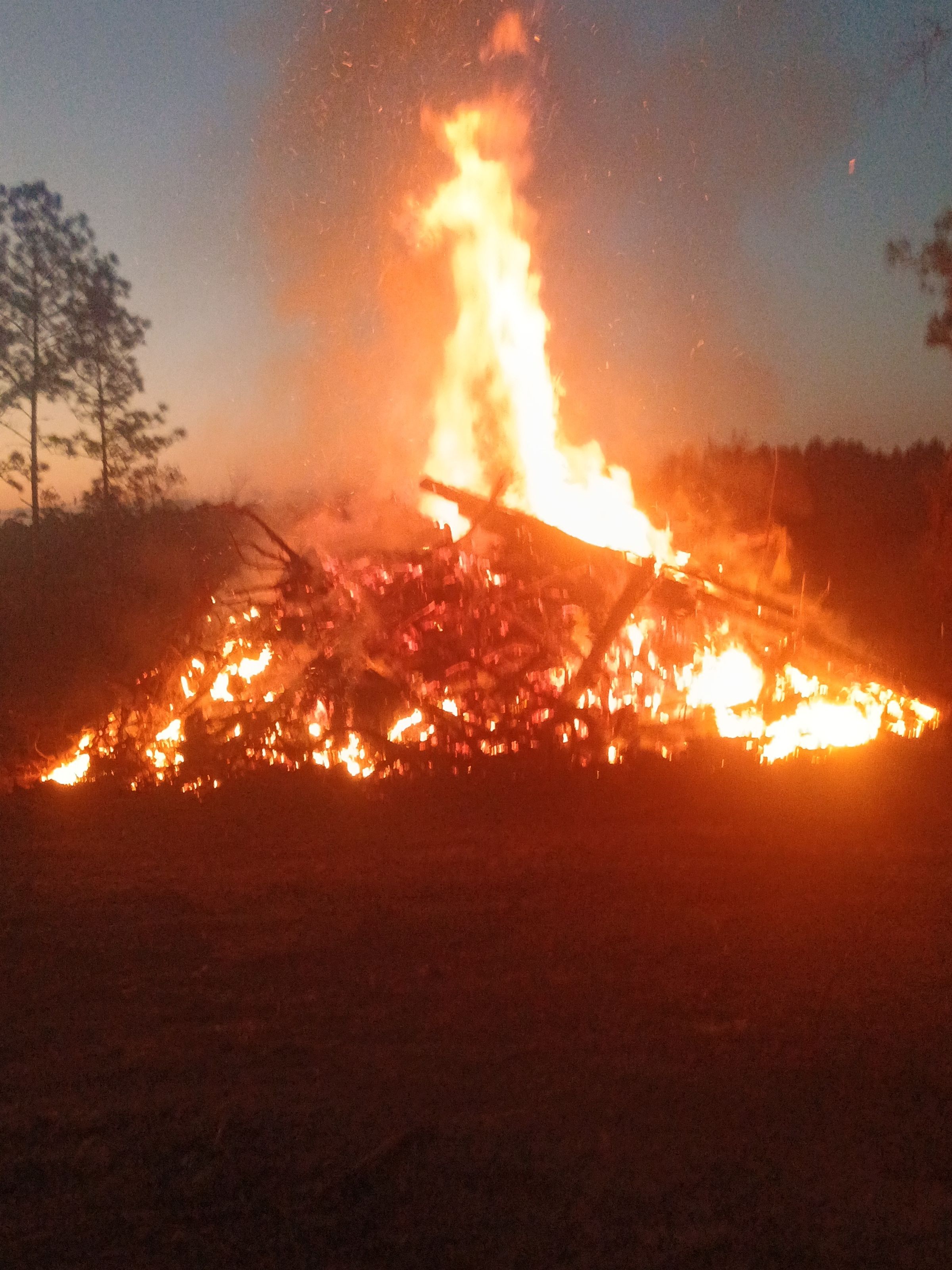 PoseyLandDevelopment.com's image