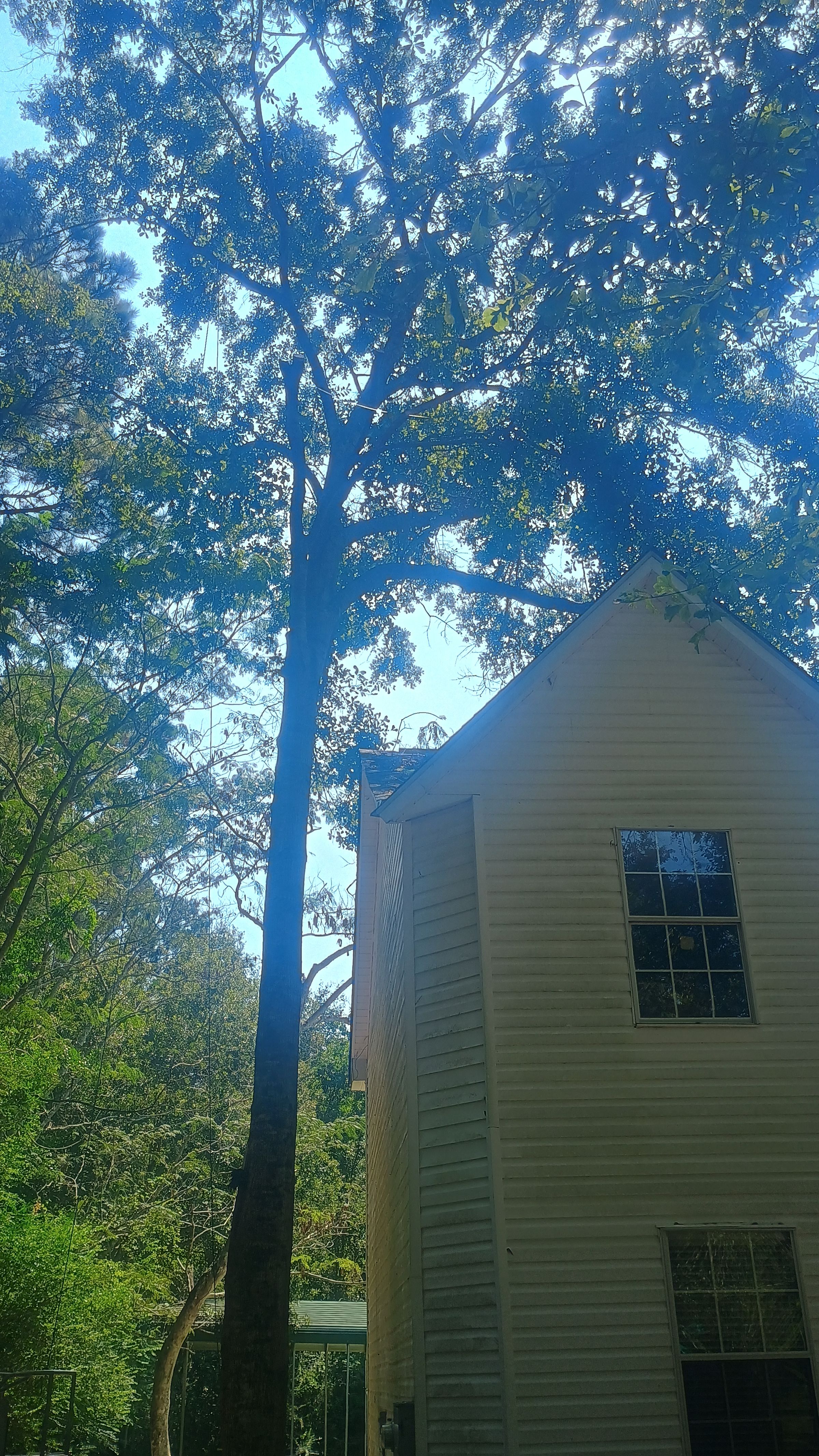 PoseyLandDevelopment.com's image