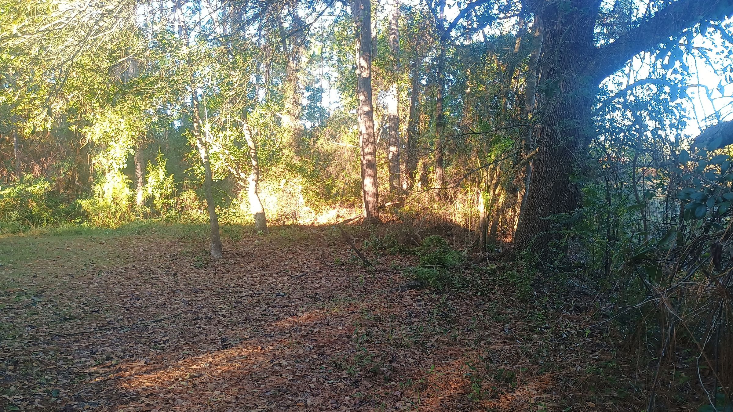 PoseyLandDevelopment.com's image