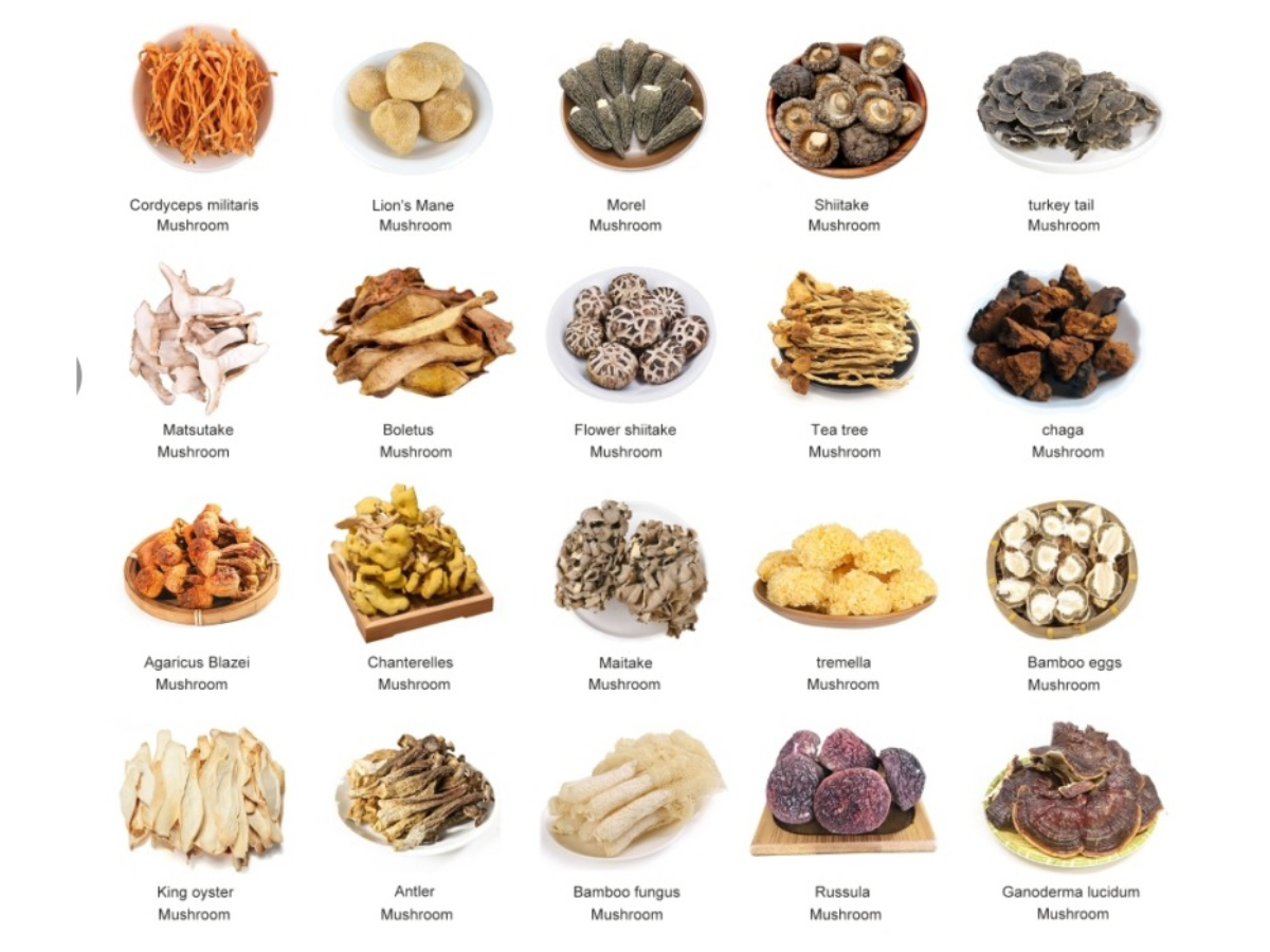 VEGAN&HERBAL/PRODUCTS/247 LTD's image