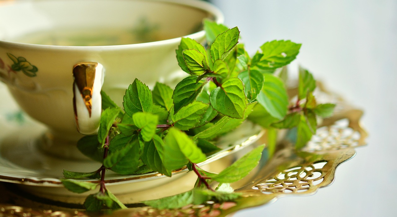 VEGAN&HERBAL/PRODUCTS/247 LTD's image