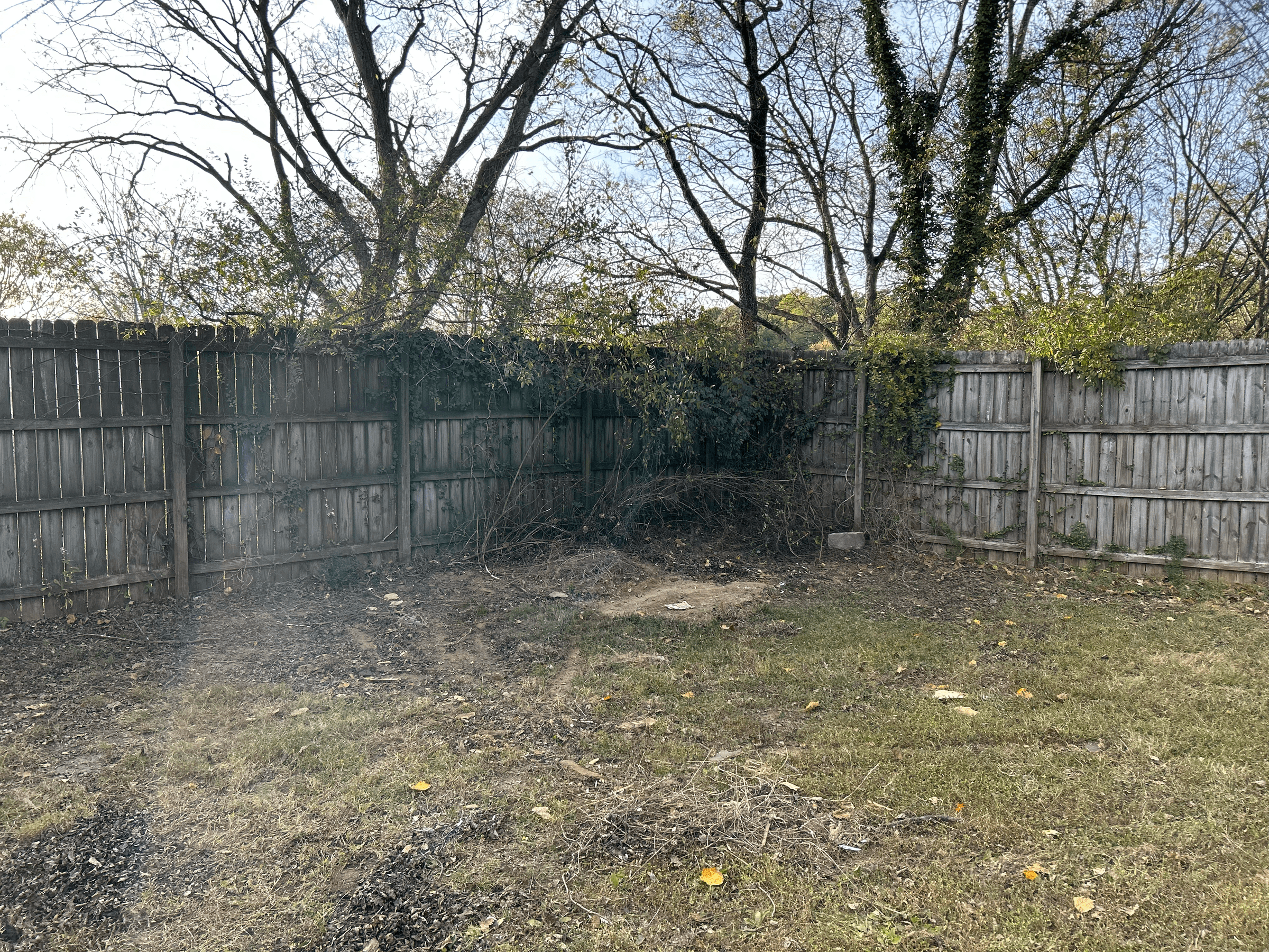 Junk removal in Knoxville, TN's image