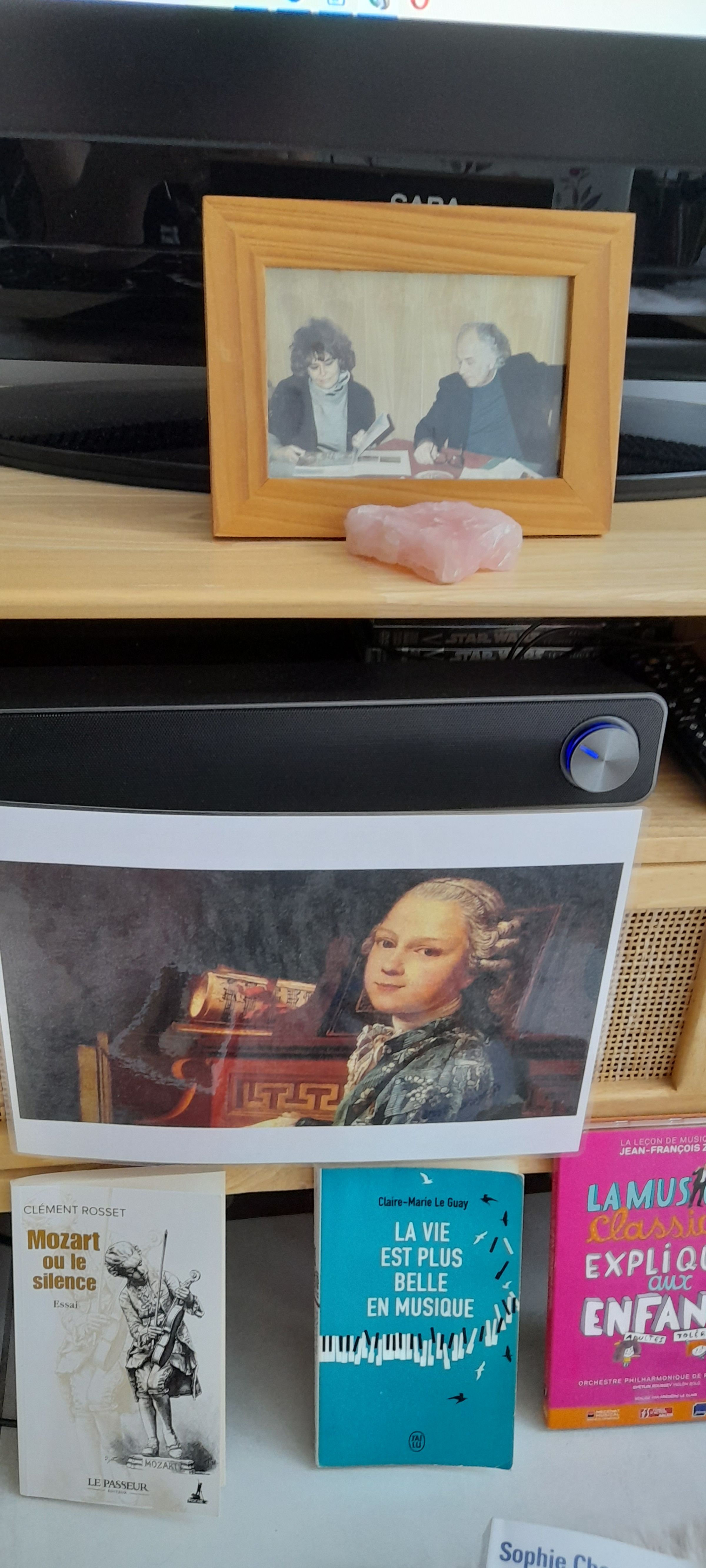 "La Rose Bulgare | École de Suggestopédie Classique"'s image