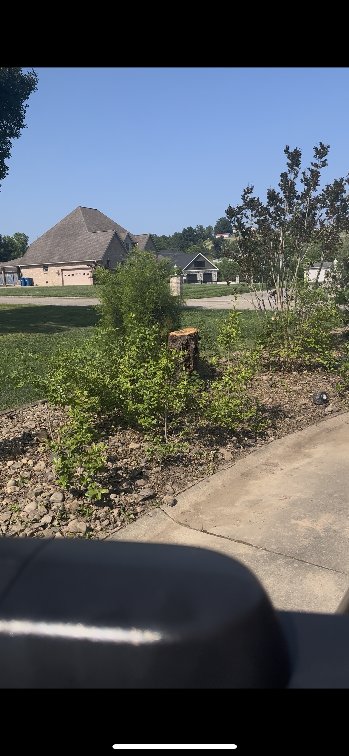 304 landscaping 's image
