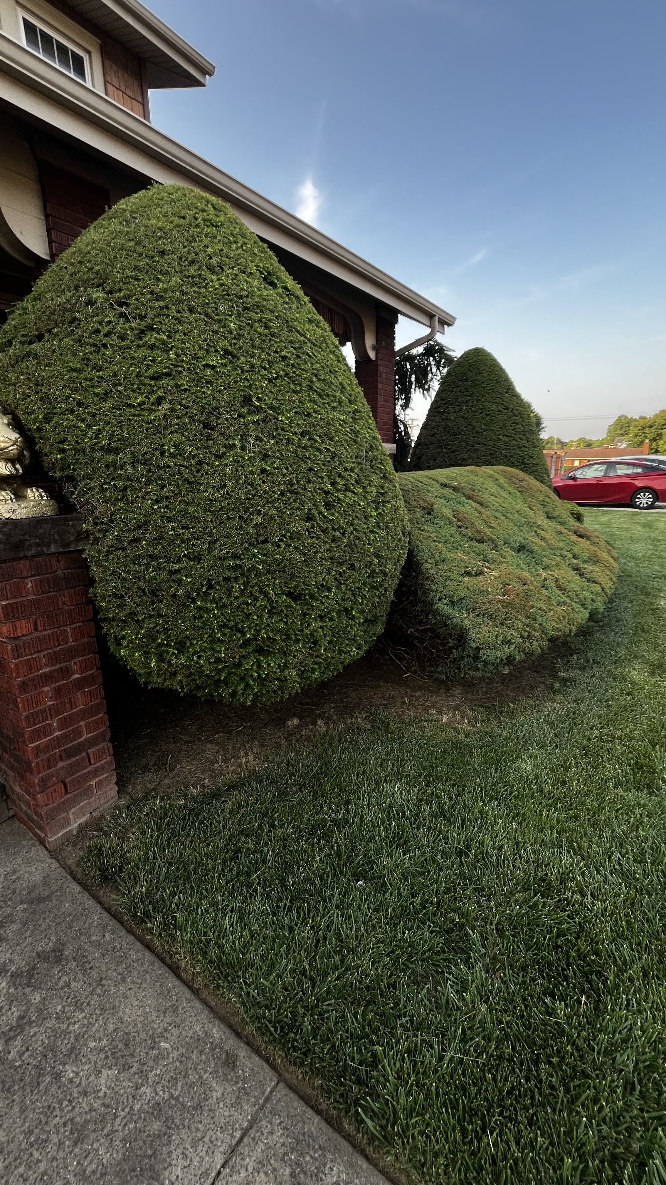 304 landscaping 's image