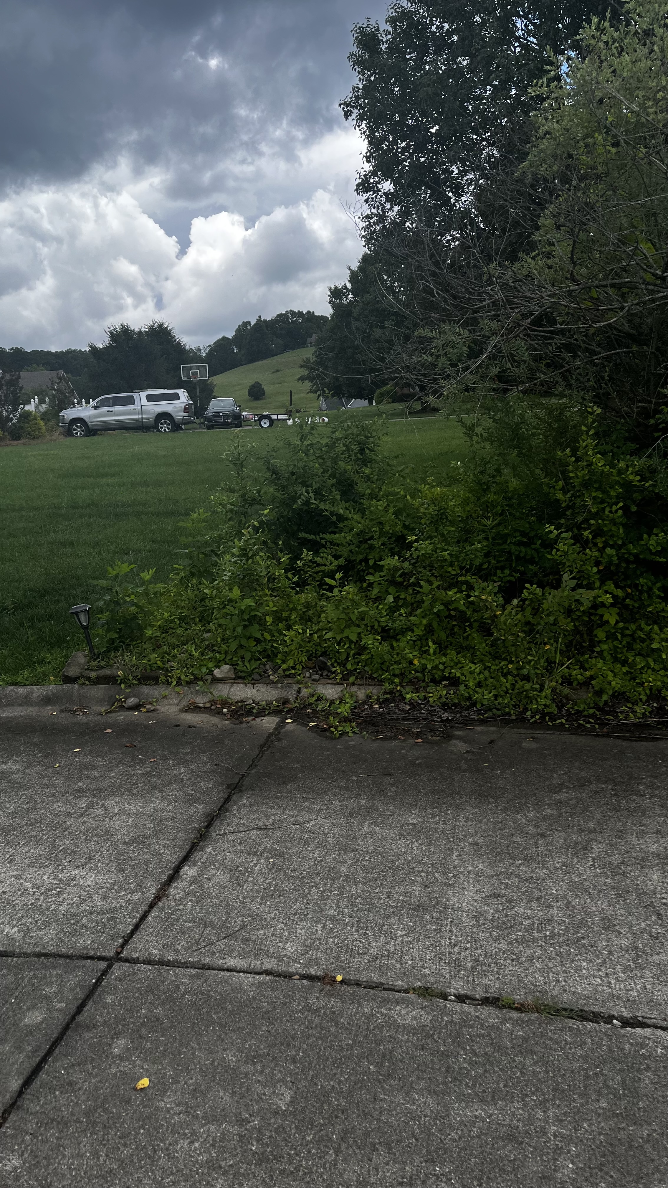 304 landscaping 's image