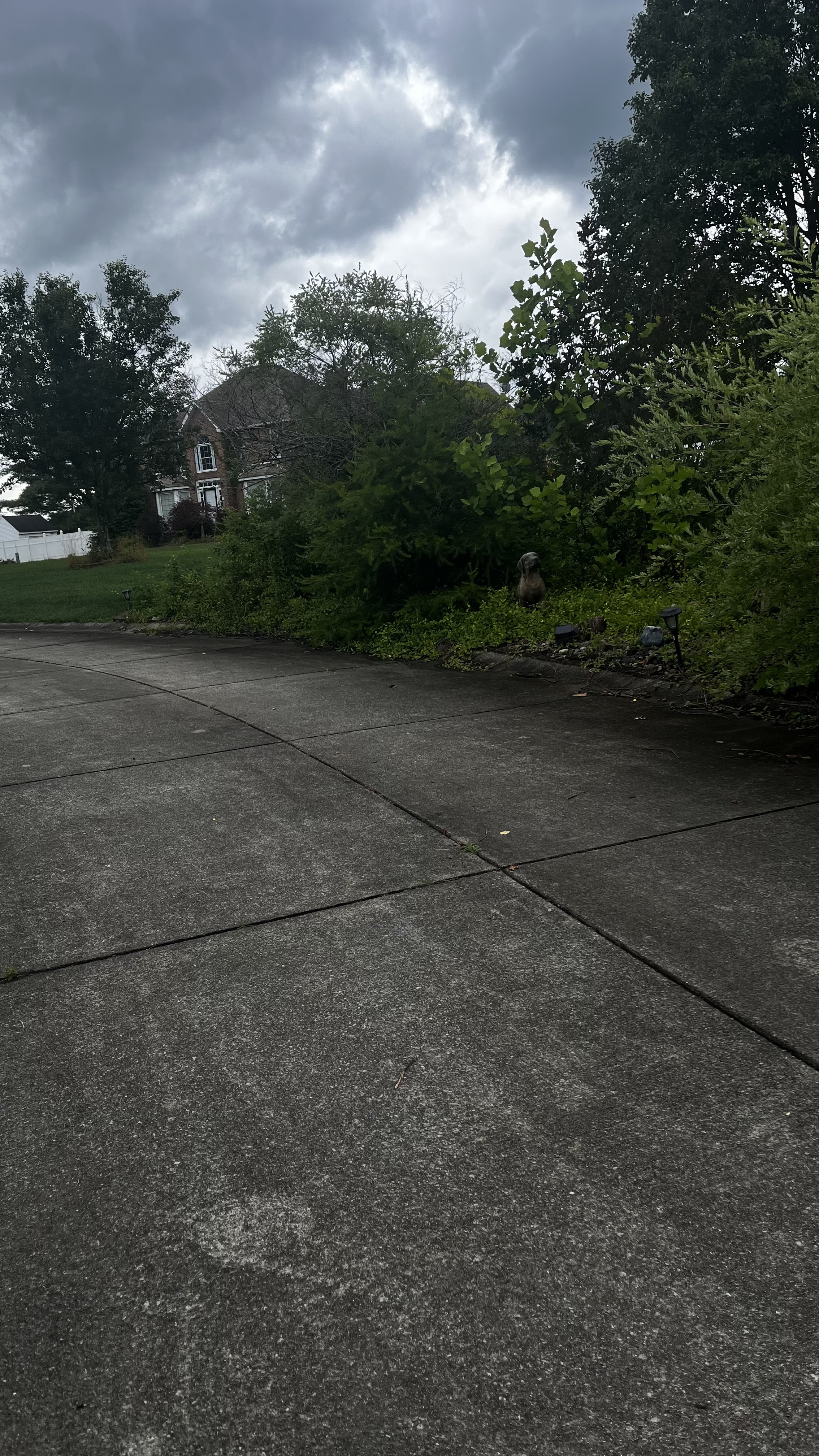304 landscaping 's image