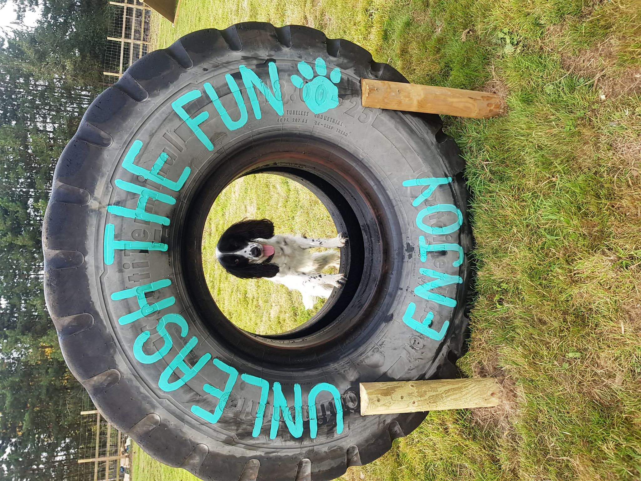 Horsham Lake's image