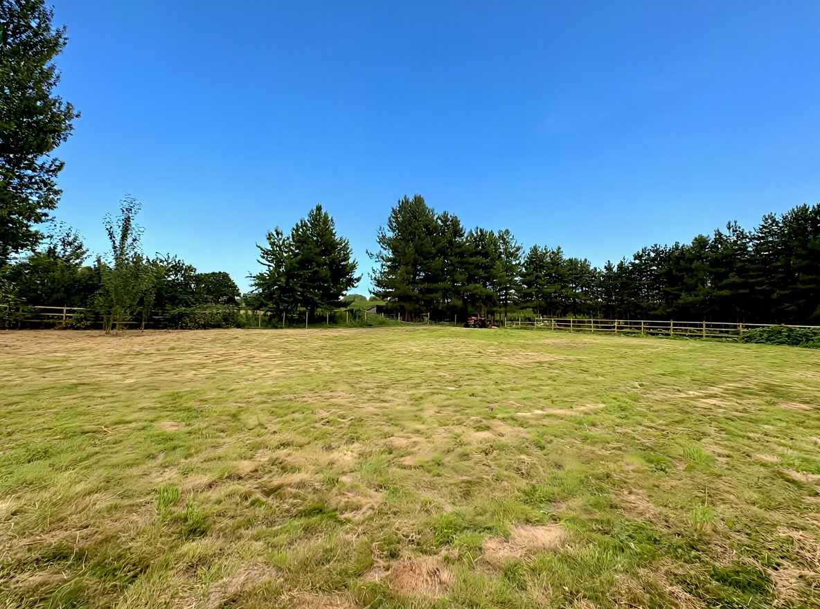 Horsham Lake's image
