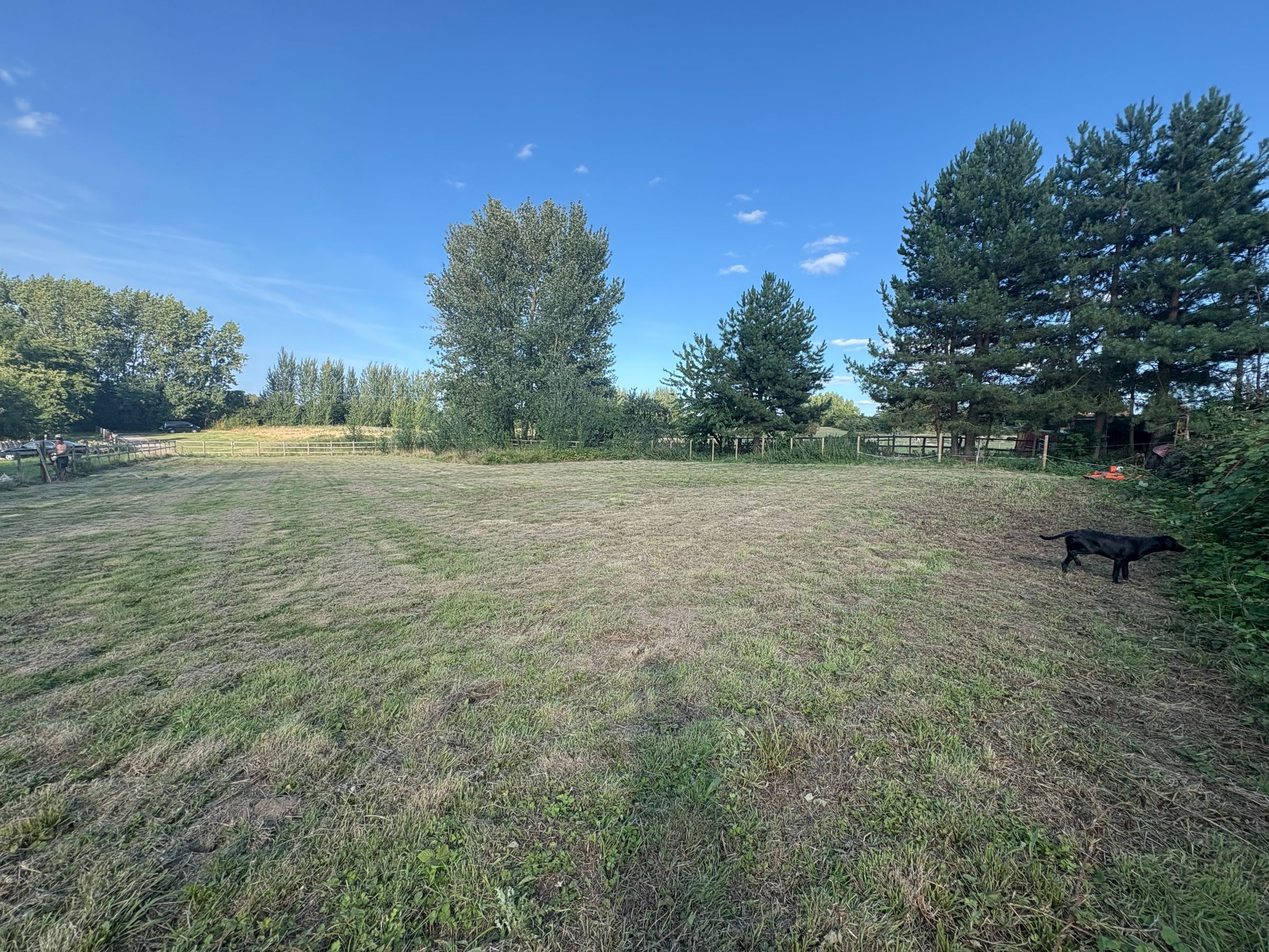 Horsham Lake's image