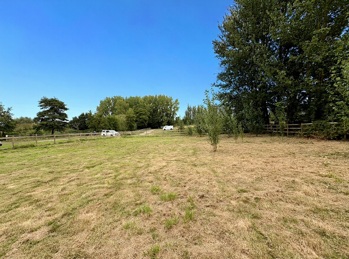 Horsham Lake's image