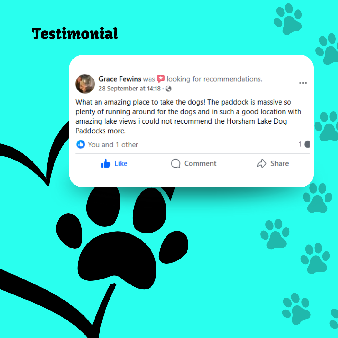 Horsham Lake's image