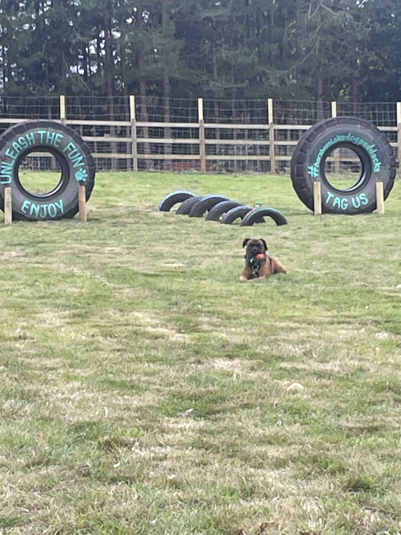 Horsham Lake's image