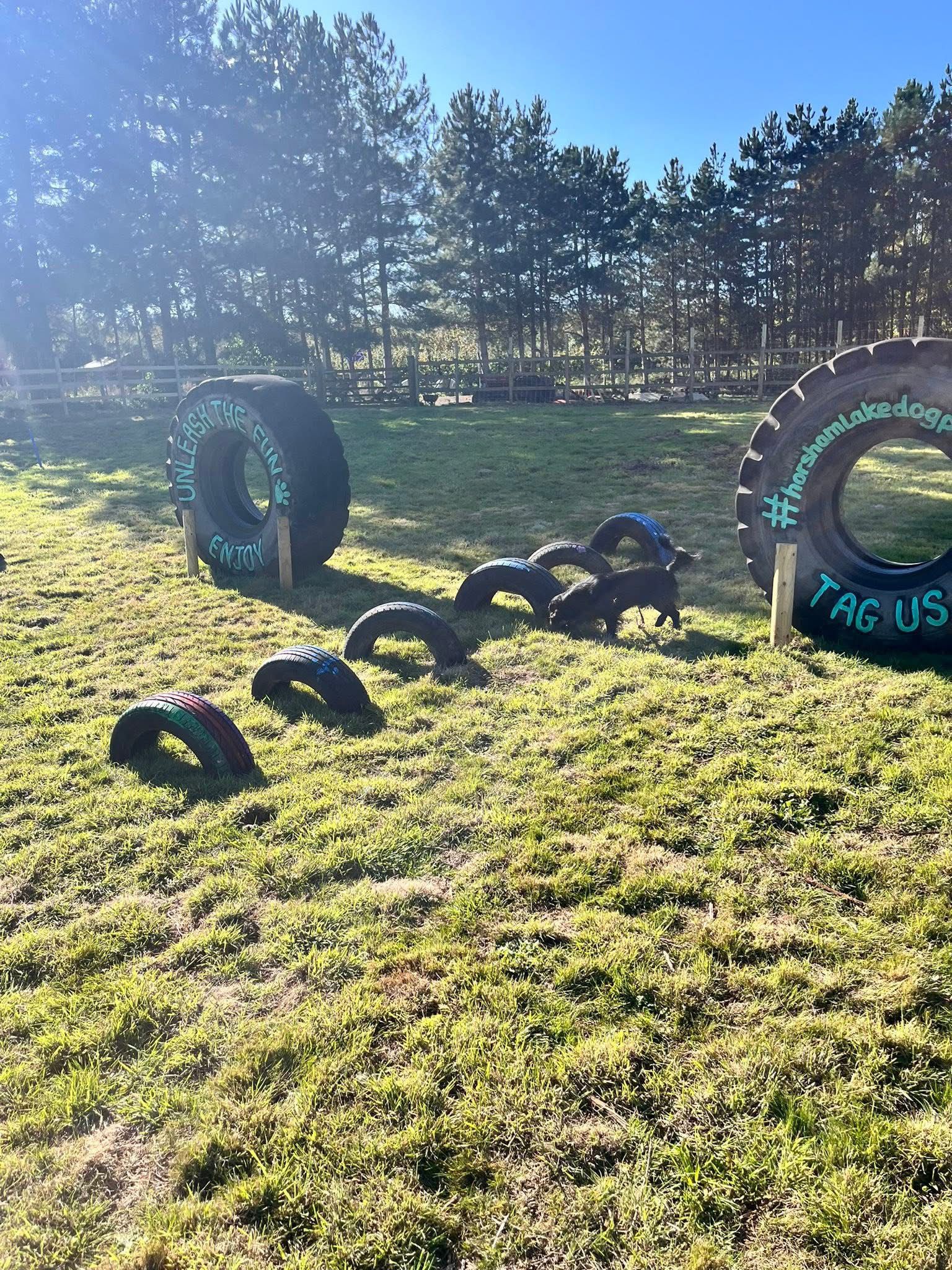 Horsham Lake's image