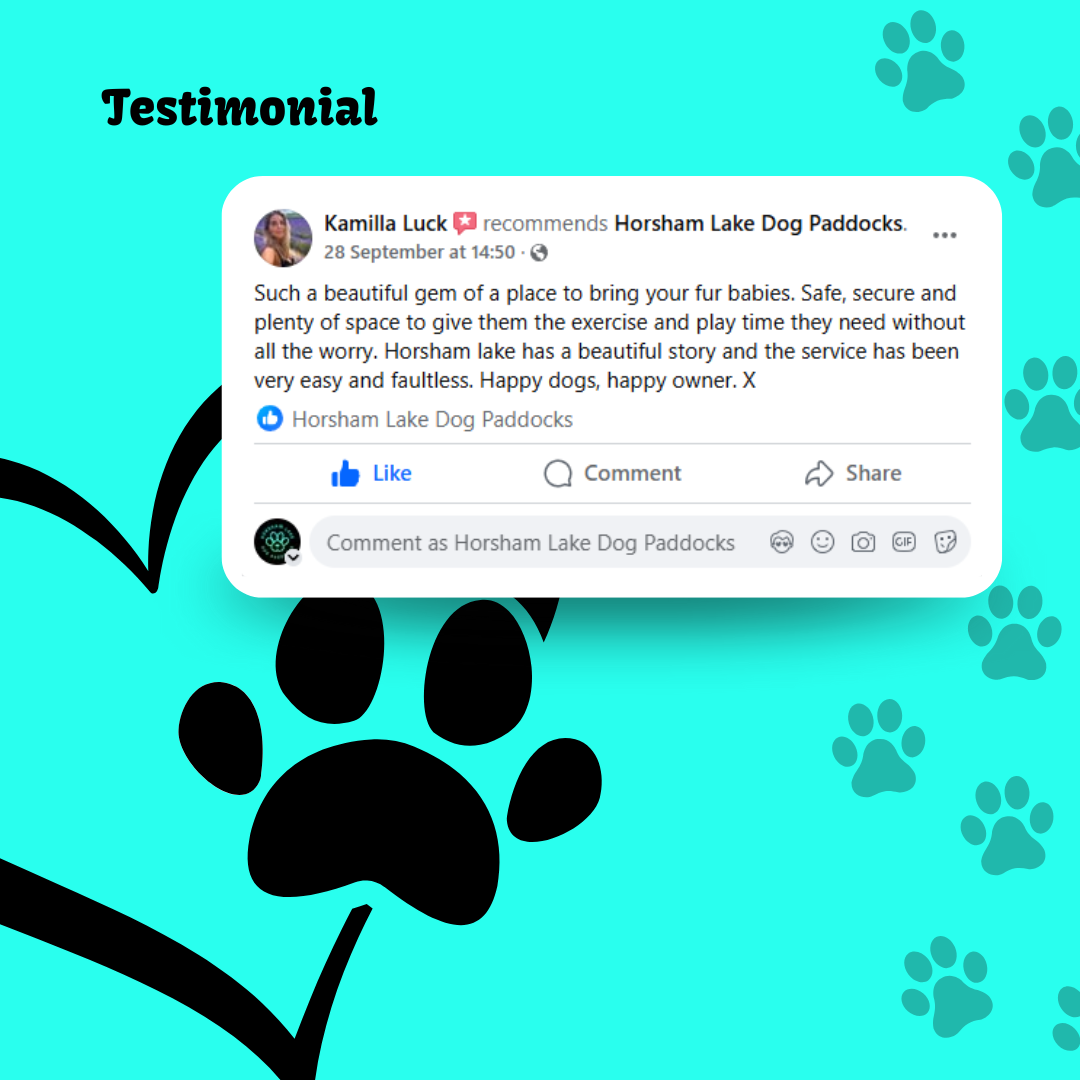 Horsham Lake's image