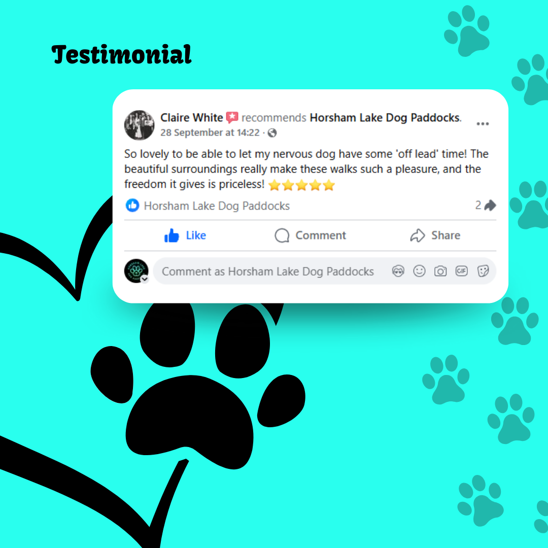 Horsham Lake's image