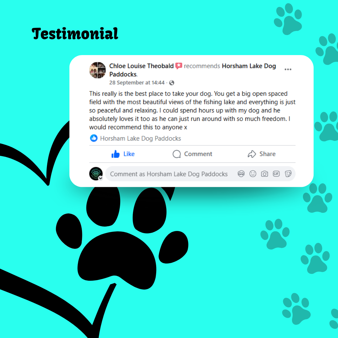 Horsham Lake's image