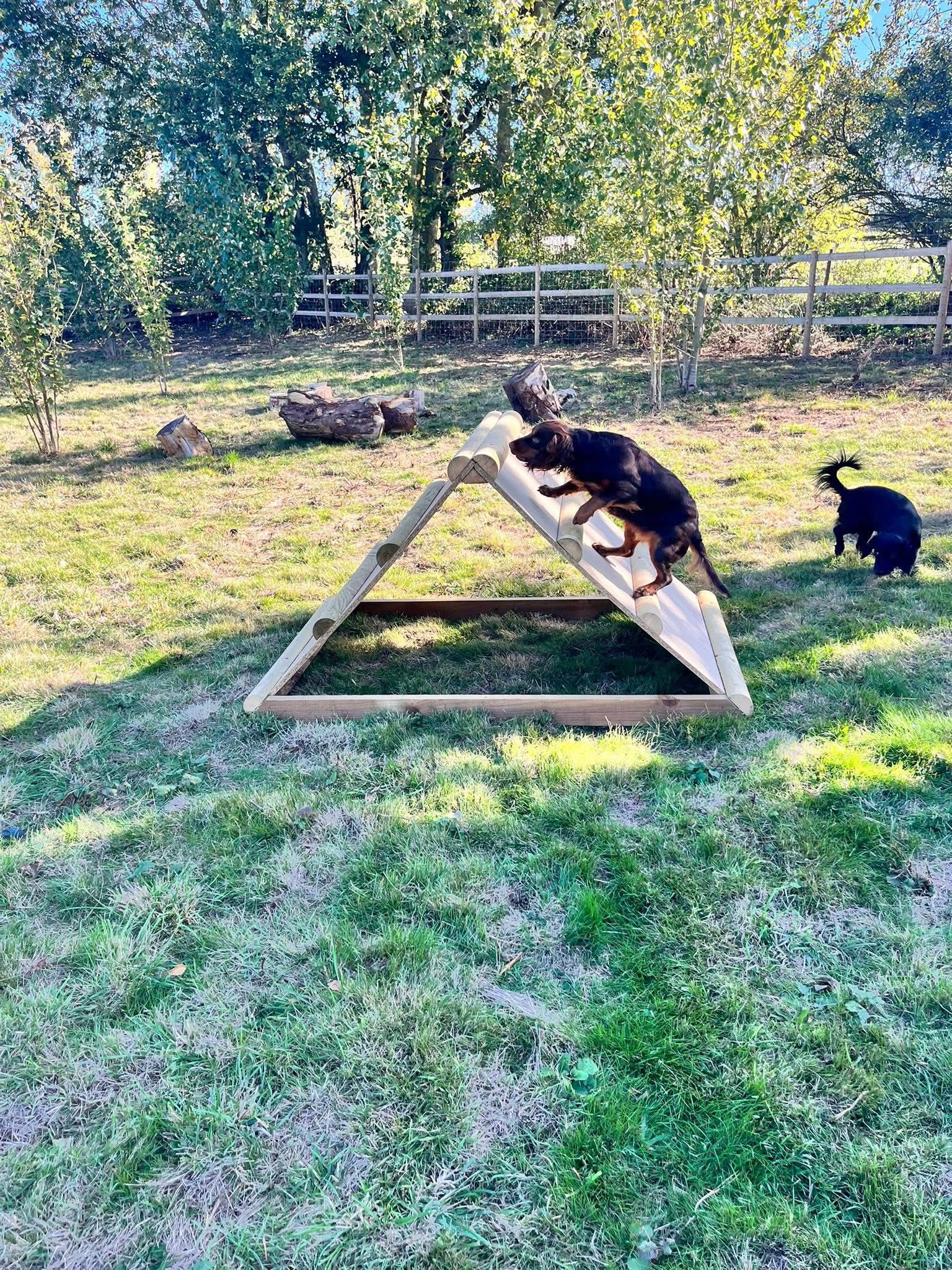 Horsham Lake's image