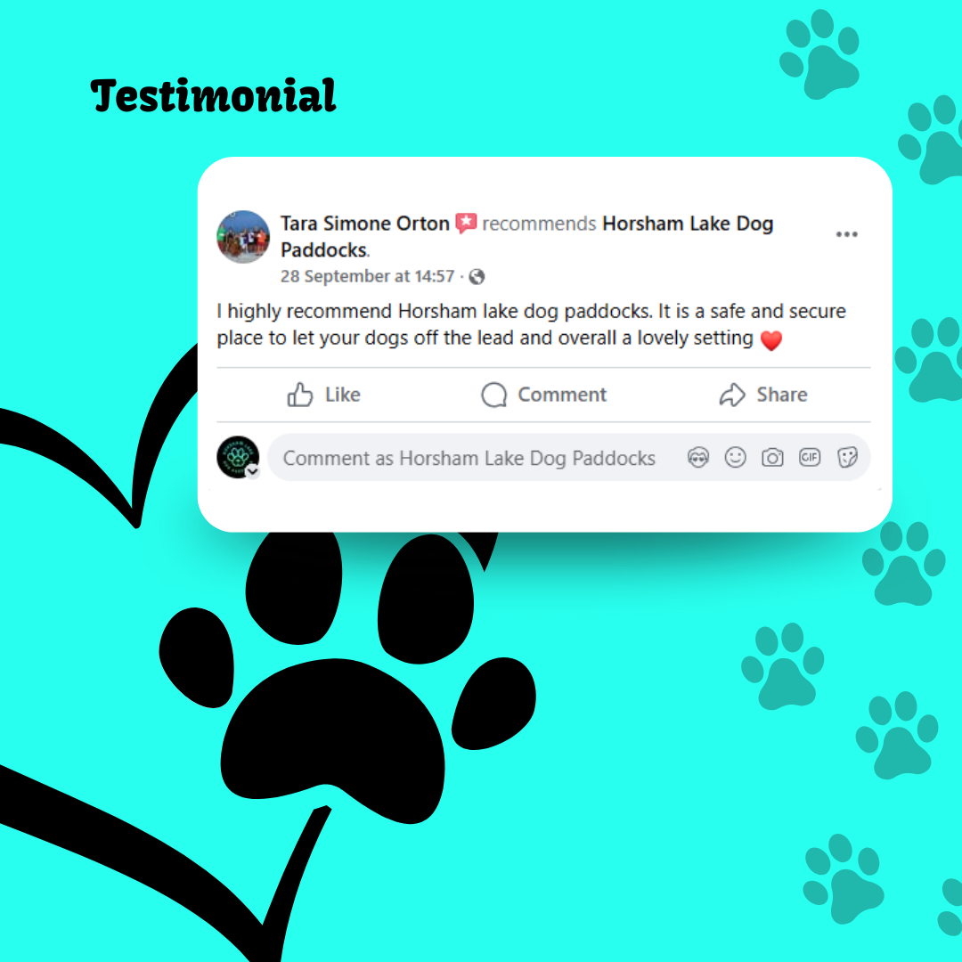 Horsham Lake's image