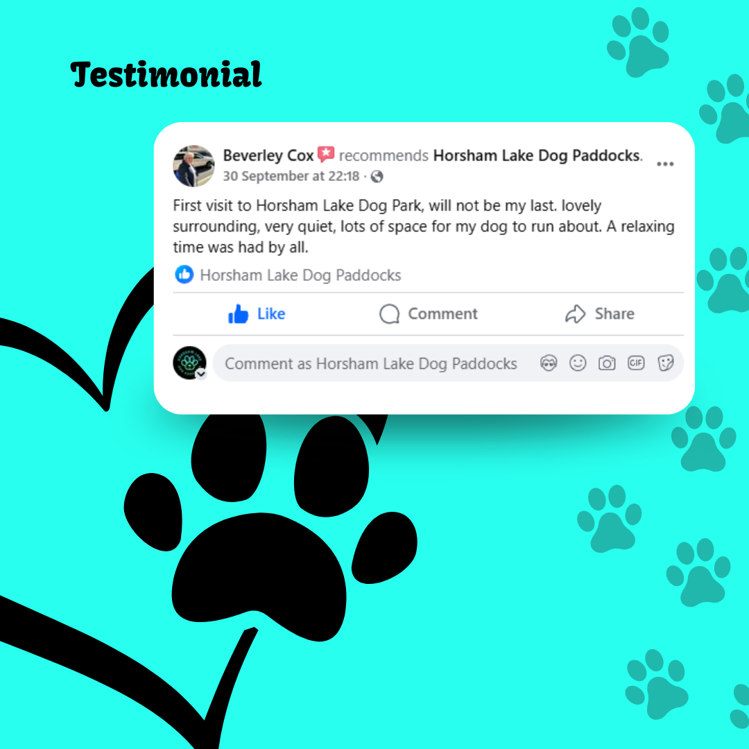 Horsham Lake's image