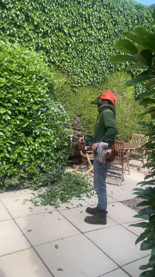 B.W.D Contractors's image