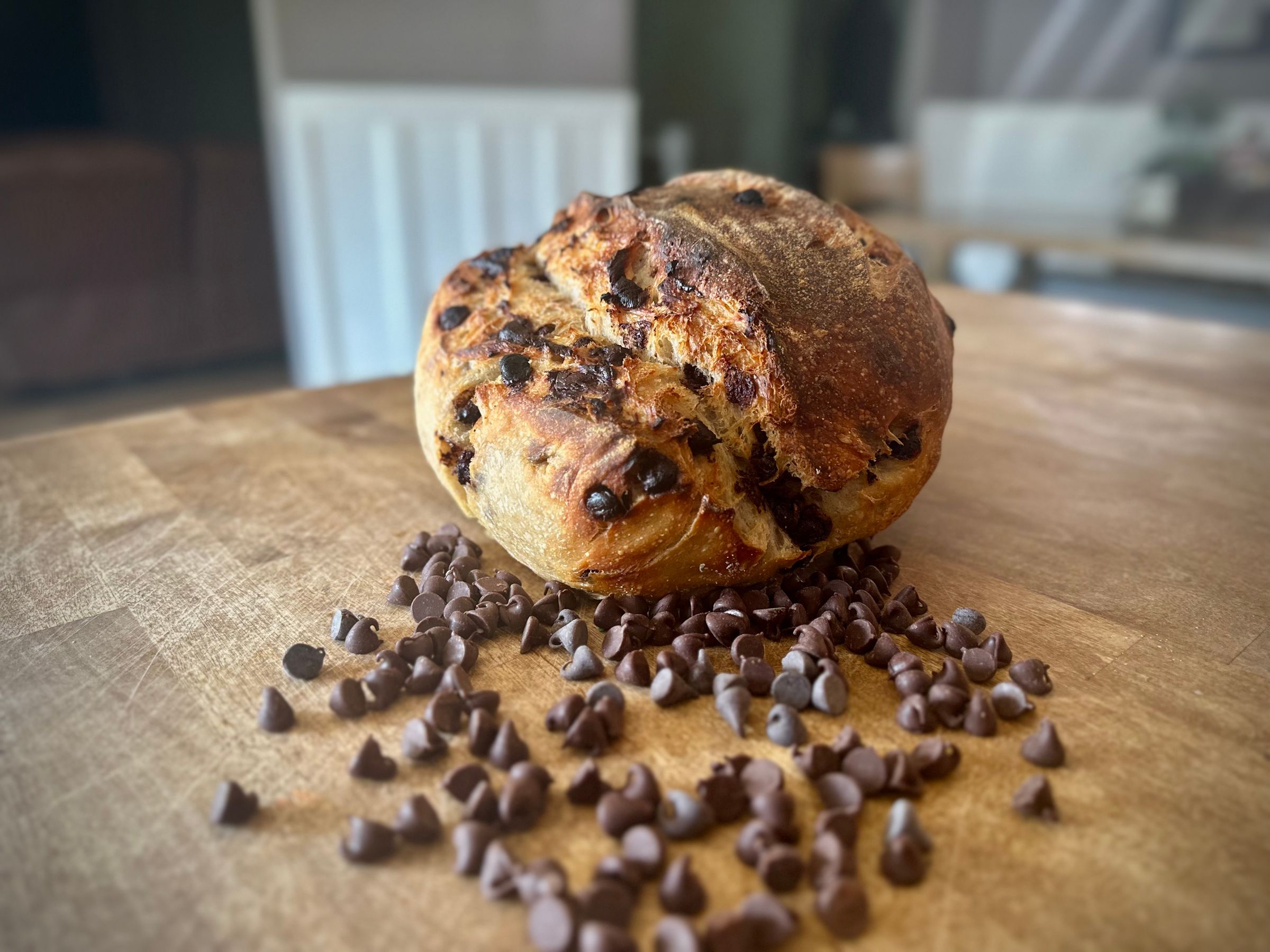 Chocolate Chip