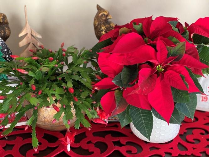 The Barnyard's image