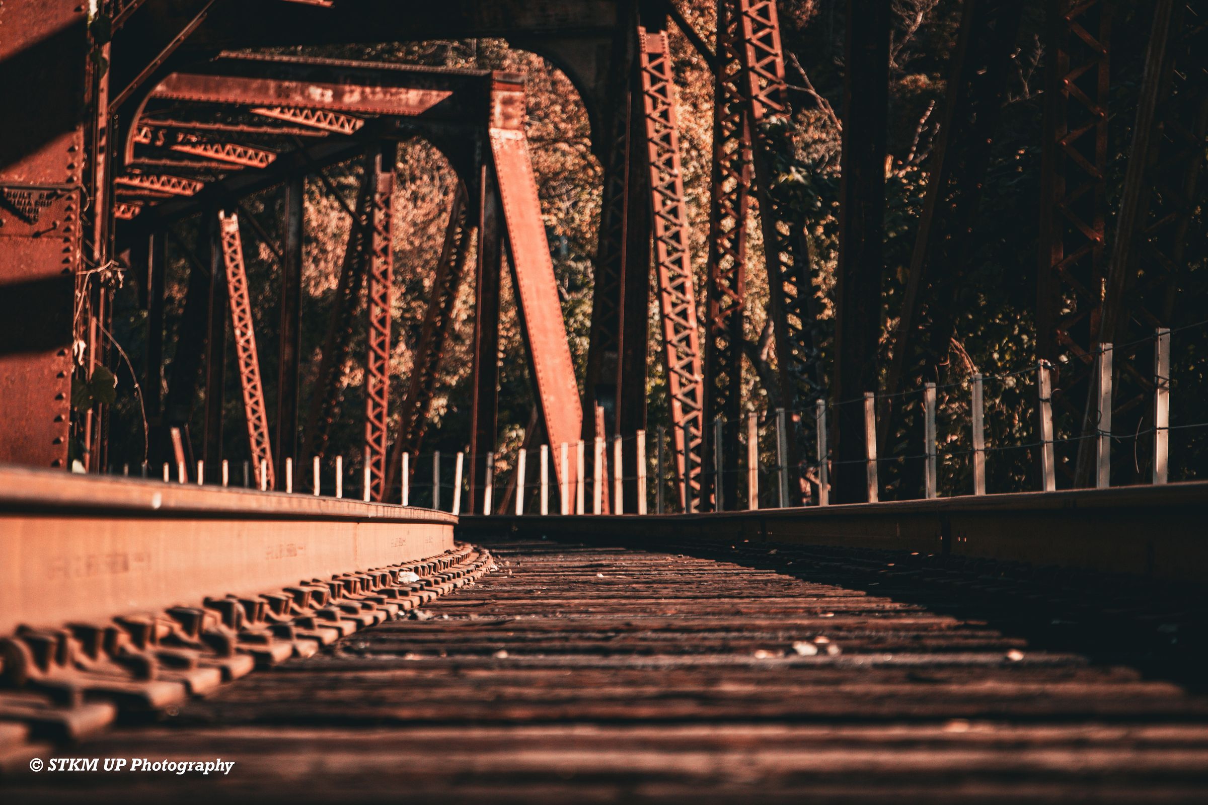 STKM UP Photography 's image