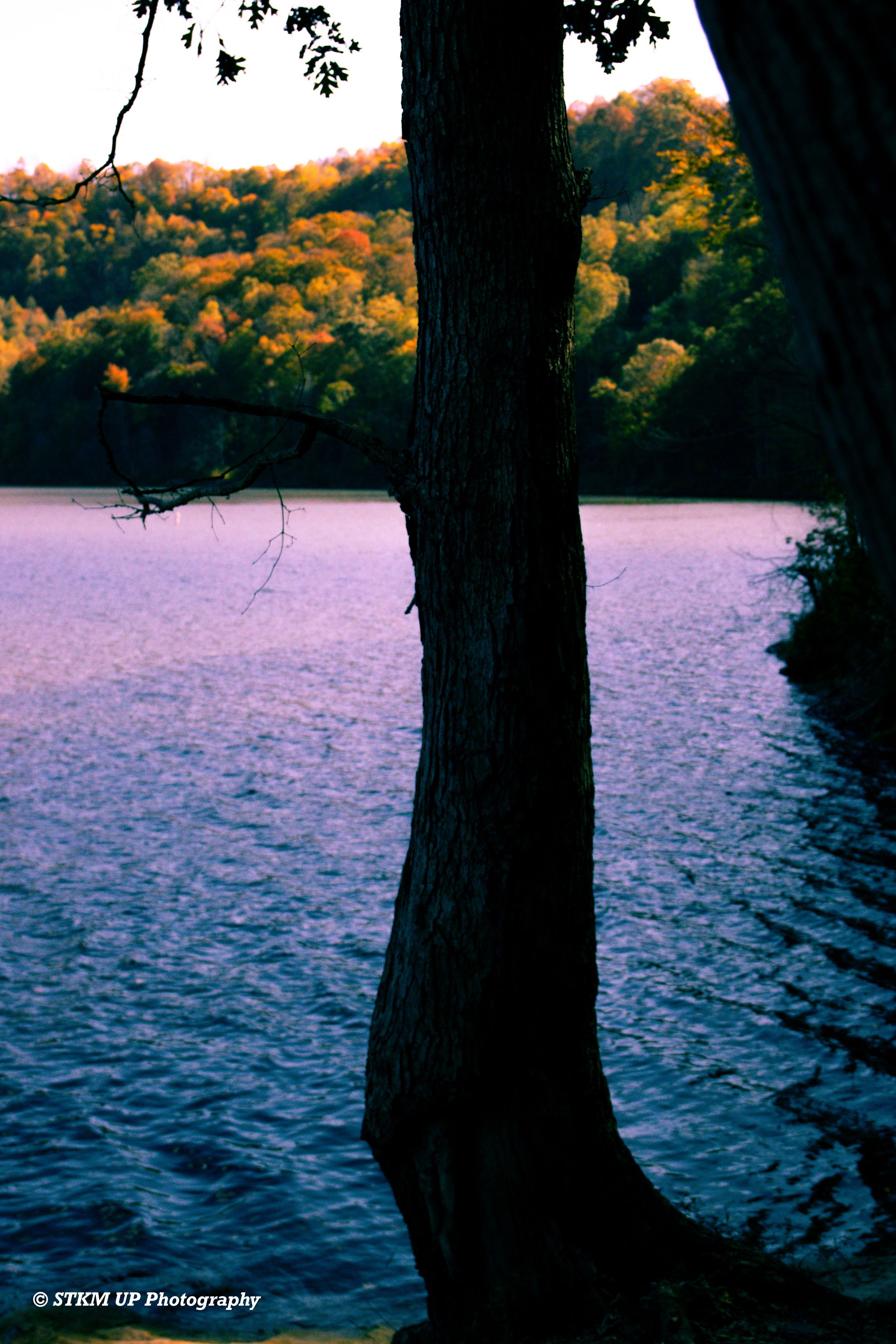 STKM UP Photography 's image
