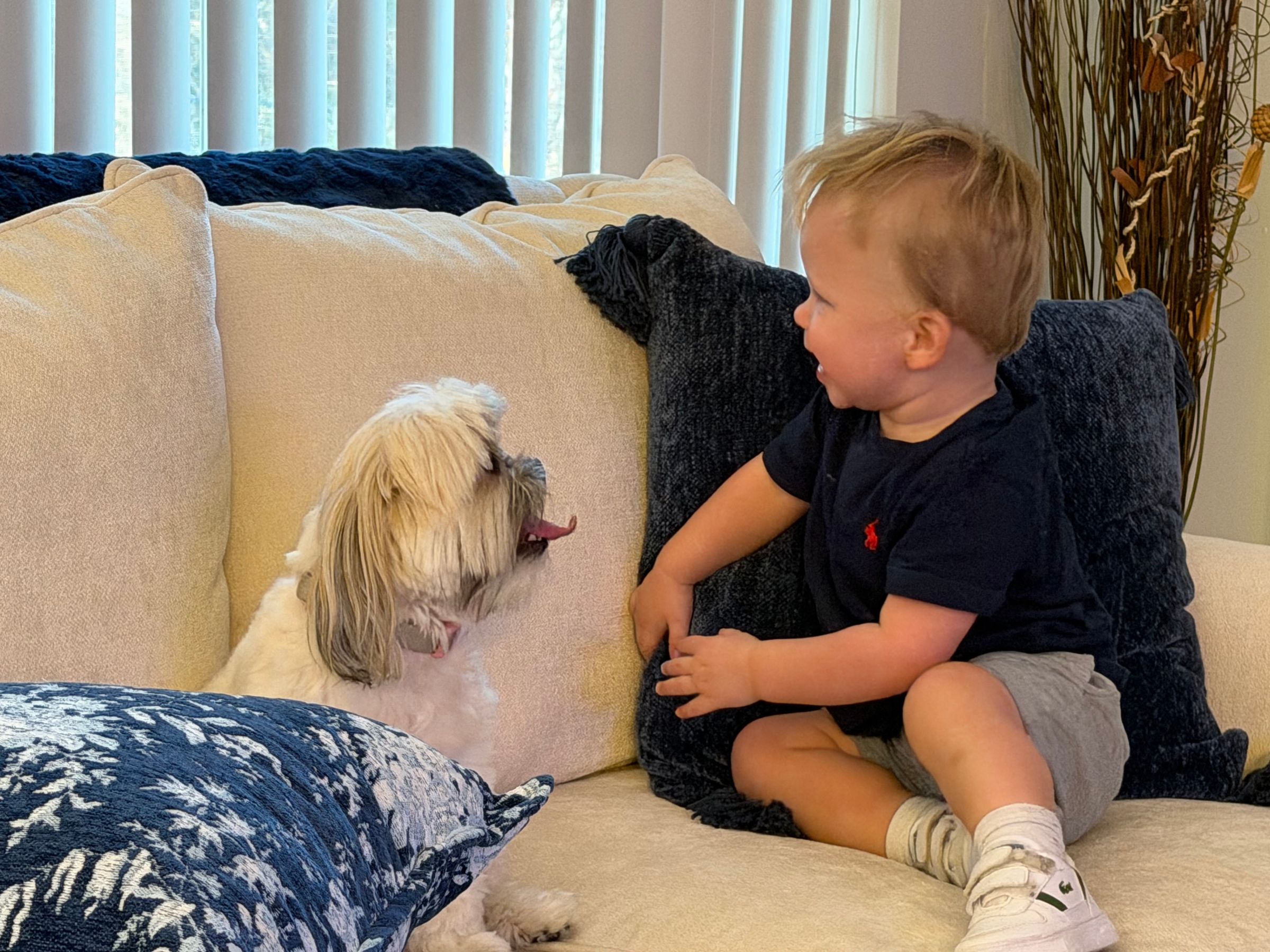 Christine's Care Services's image