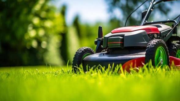 Clean Cuts Main's image