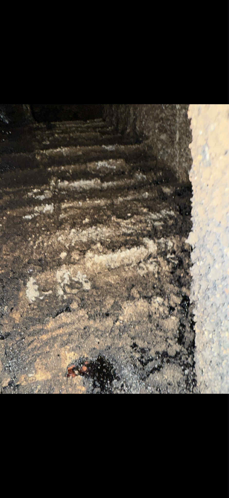 Summit Home Pros's image