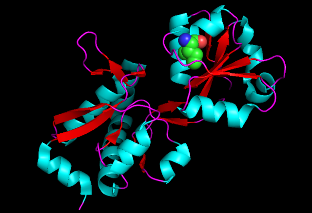 Life Sciences Tutoring's image